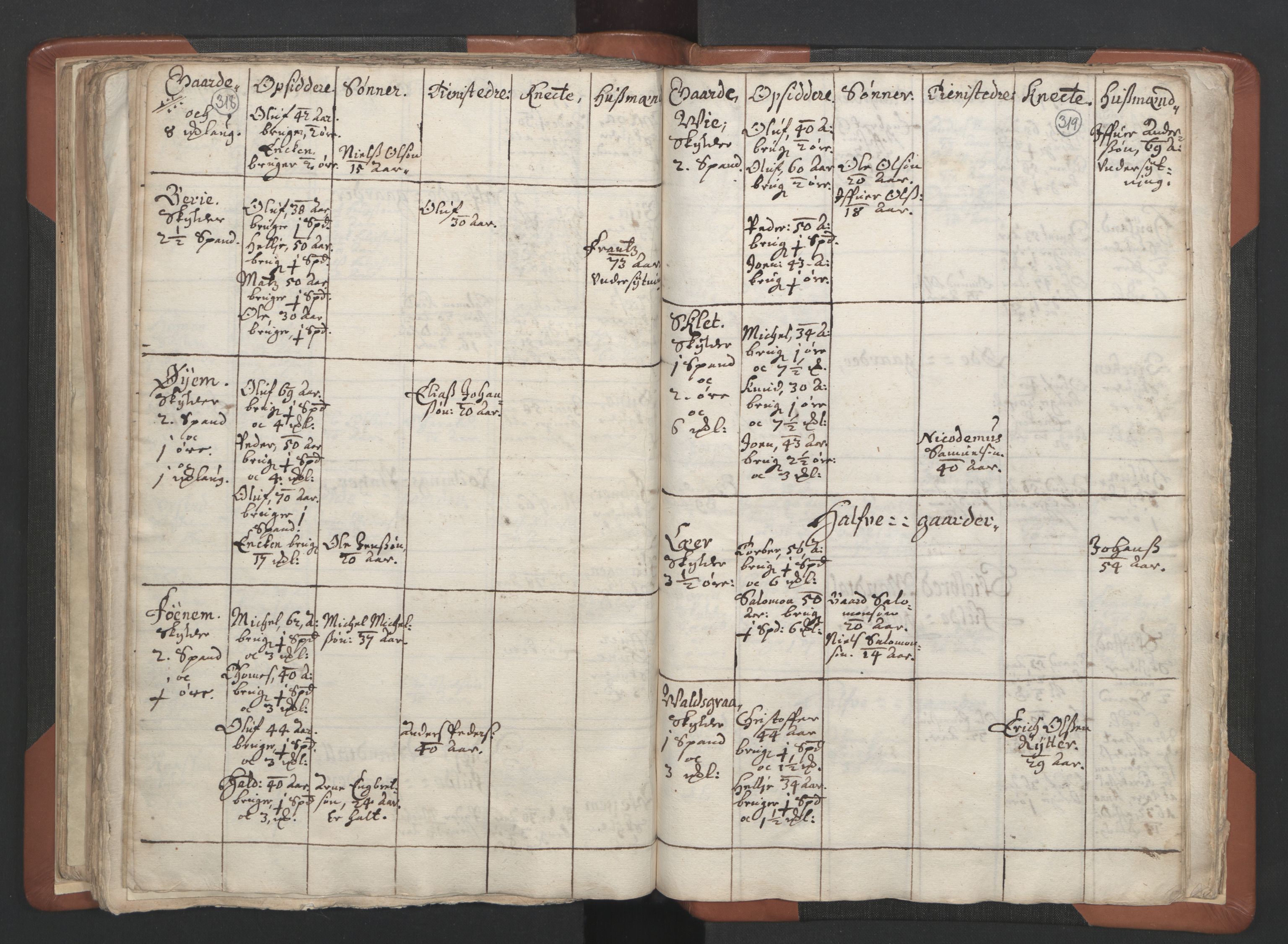 RA, Vicar's Census 1664-1666, no. 34: Namdal deanery, 1664-1666, p. 318-319