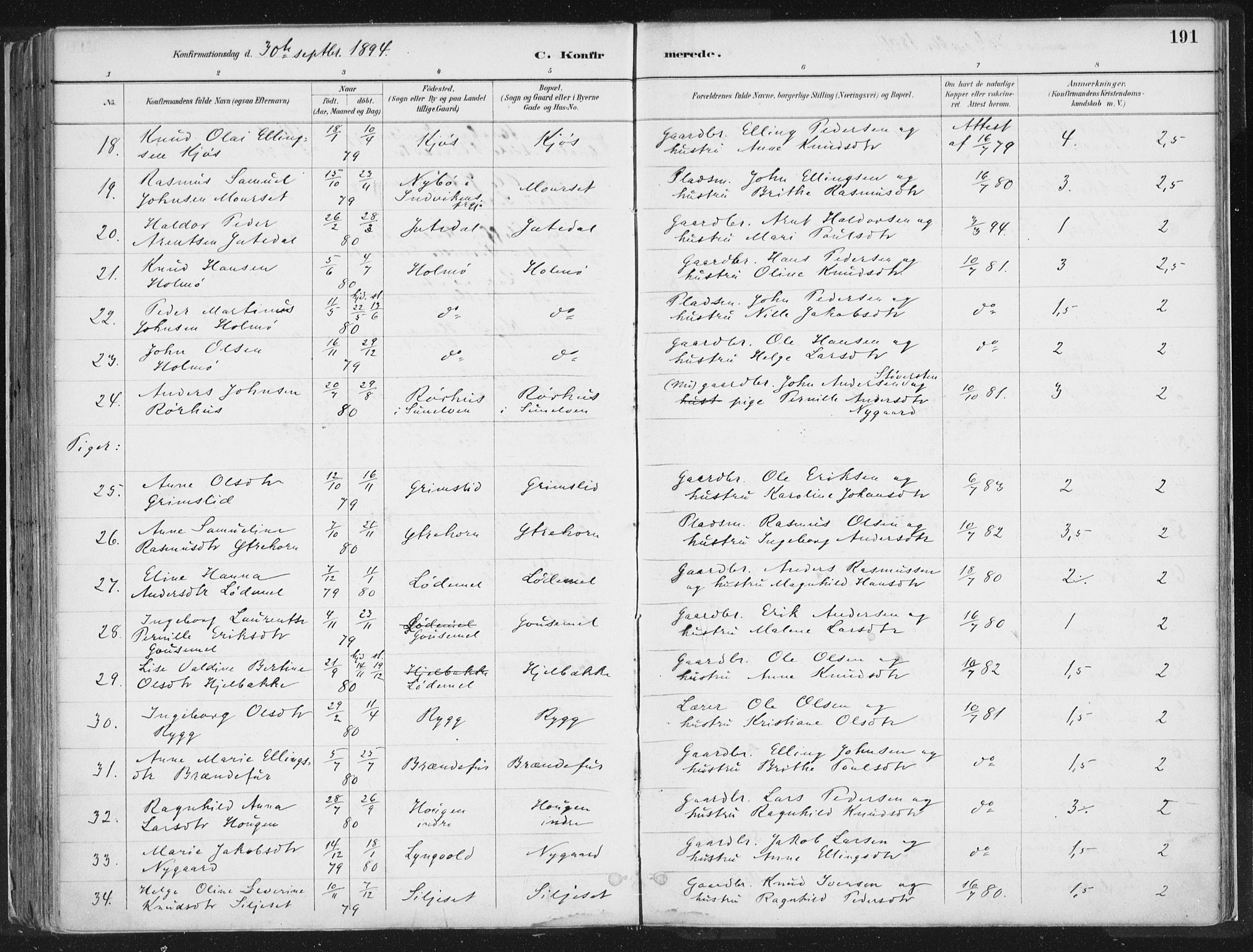 Hornindal sokneprestembete, SAB/A-82401/H/Haa/Haaa/L0003/0001: Parish register (official) no. A 3A, 1887-1917, p. 191