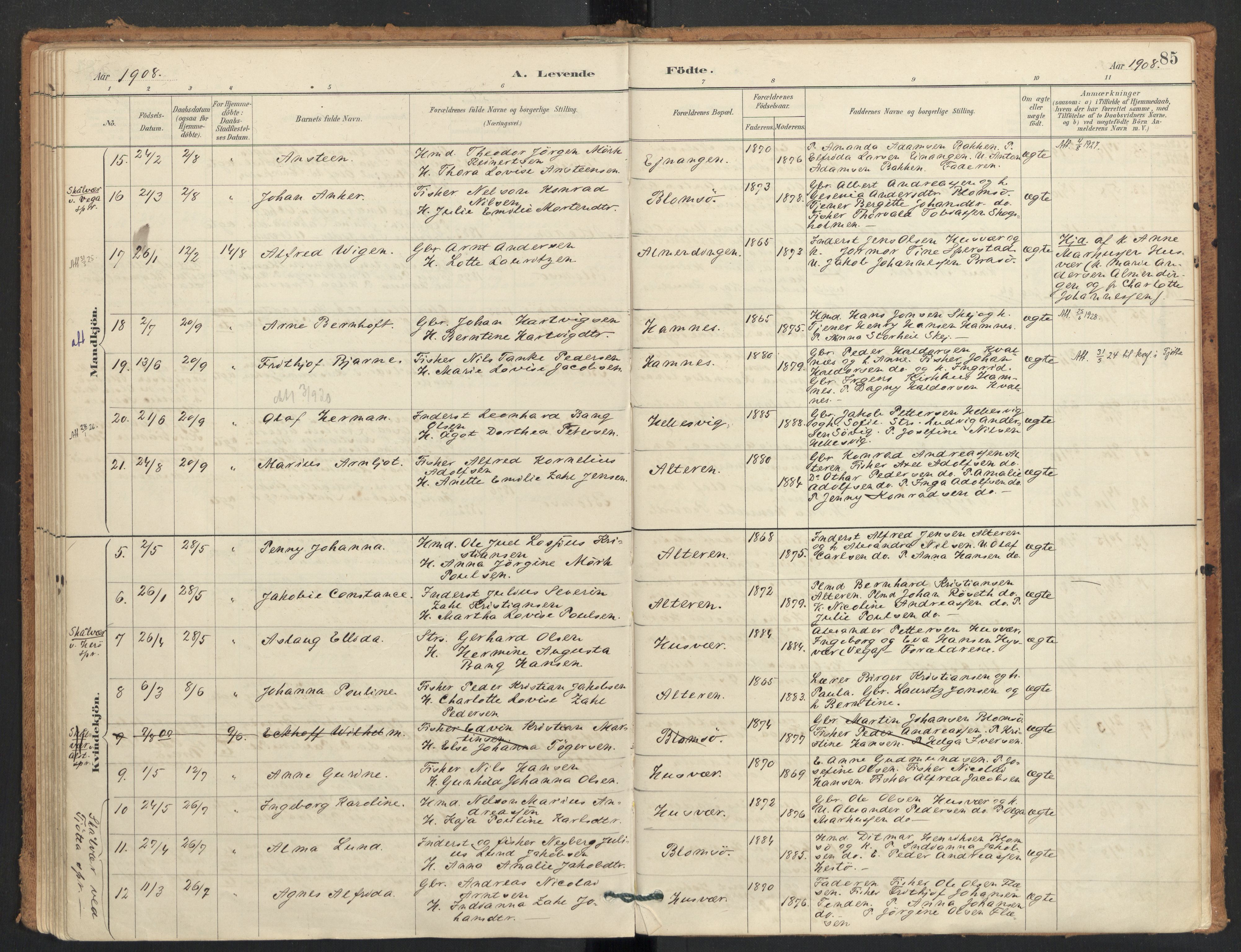 Ministerialprotokoller, klokkerbøker og fødselsregistre - Nordland, AV/SAT-A-1459/830/L0453: Parish register (official) no. 830A17, 1886-1911, p. 85