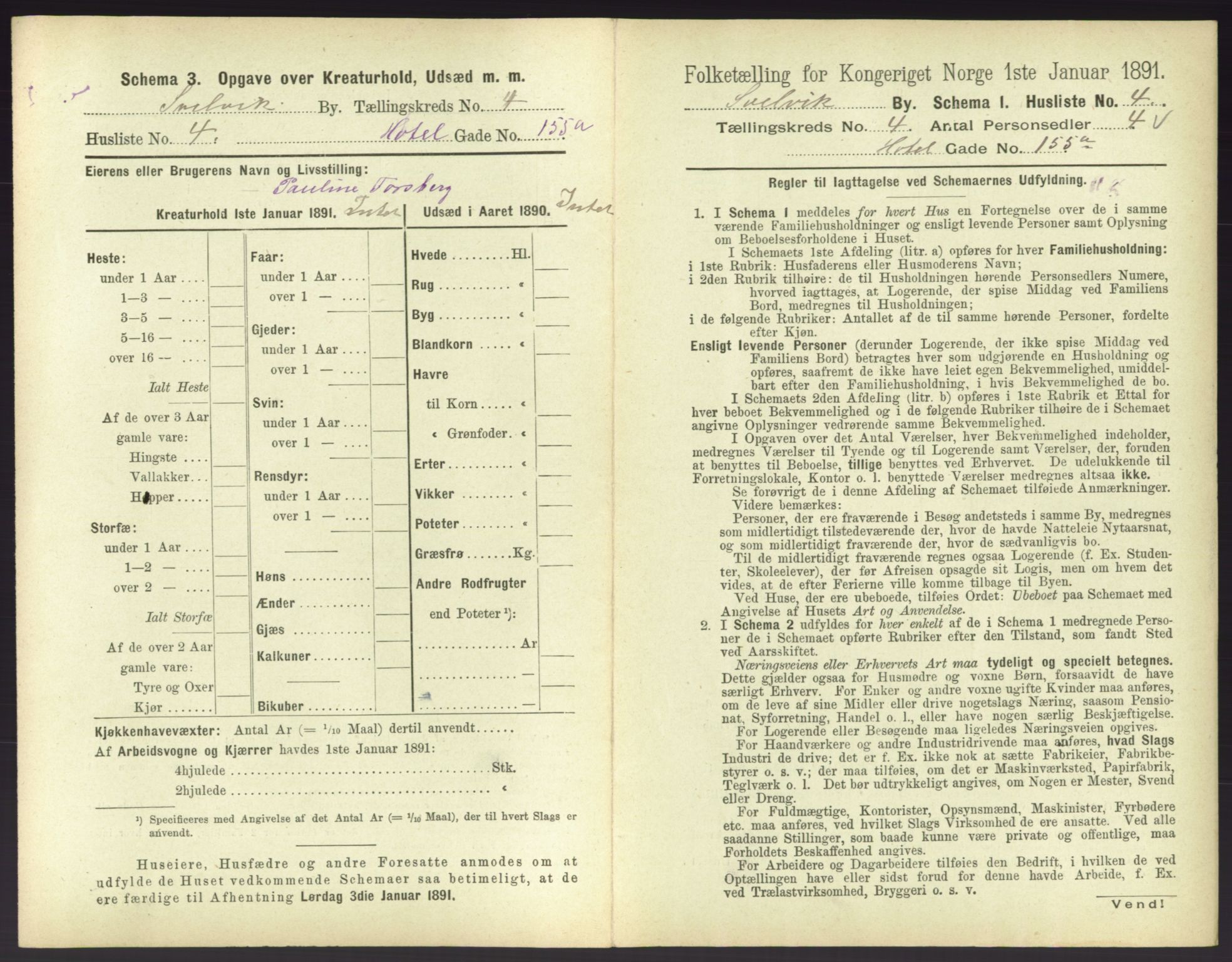 RA, 1891 census for 0701 Svelvik, 1891, p. 380