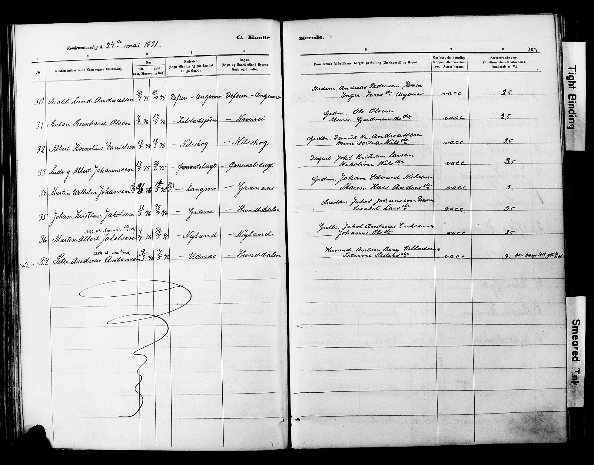 Ministerialprotokoller, klokkerbøker og fødselsregistre - Nordland, AV/SAT-A-1459/820/L0295: Parish register (official) no. 820A16, 1880-1896, p. 229