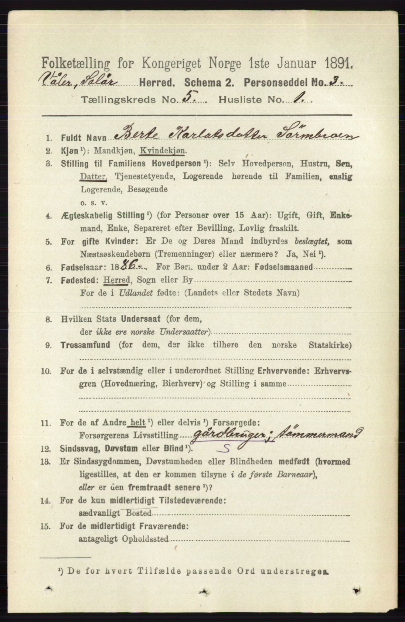 RA, 1891 census for 0426 Våler, 1891, p. 1899