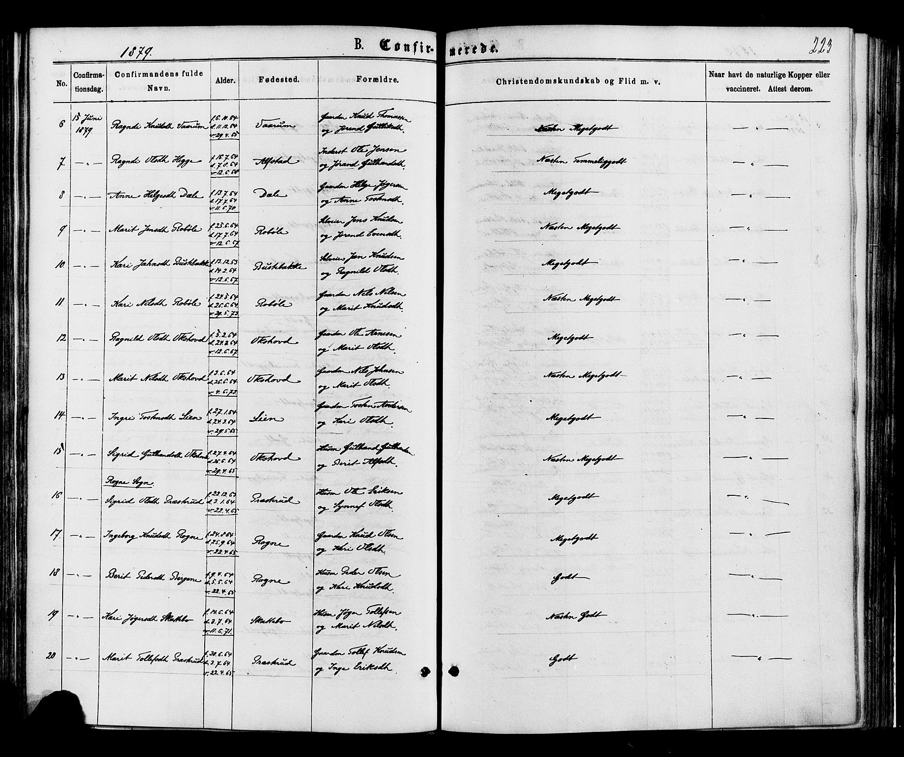 Øystre Slidre prestekontor, SAH/PREST-138/H/Ha/Haa/L0002: Parish register (official) no. 2, 1874-1886, p. 223