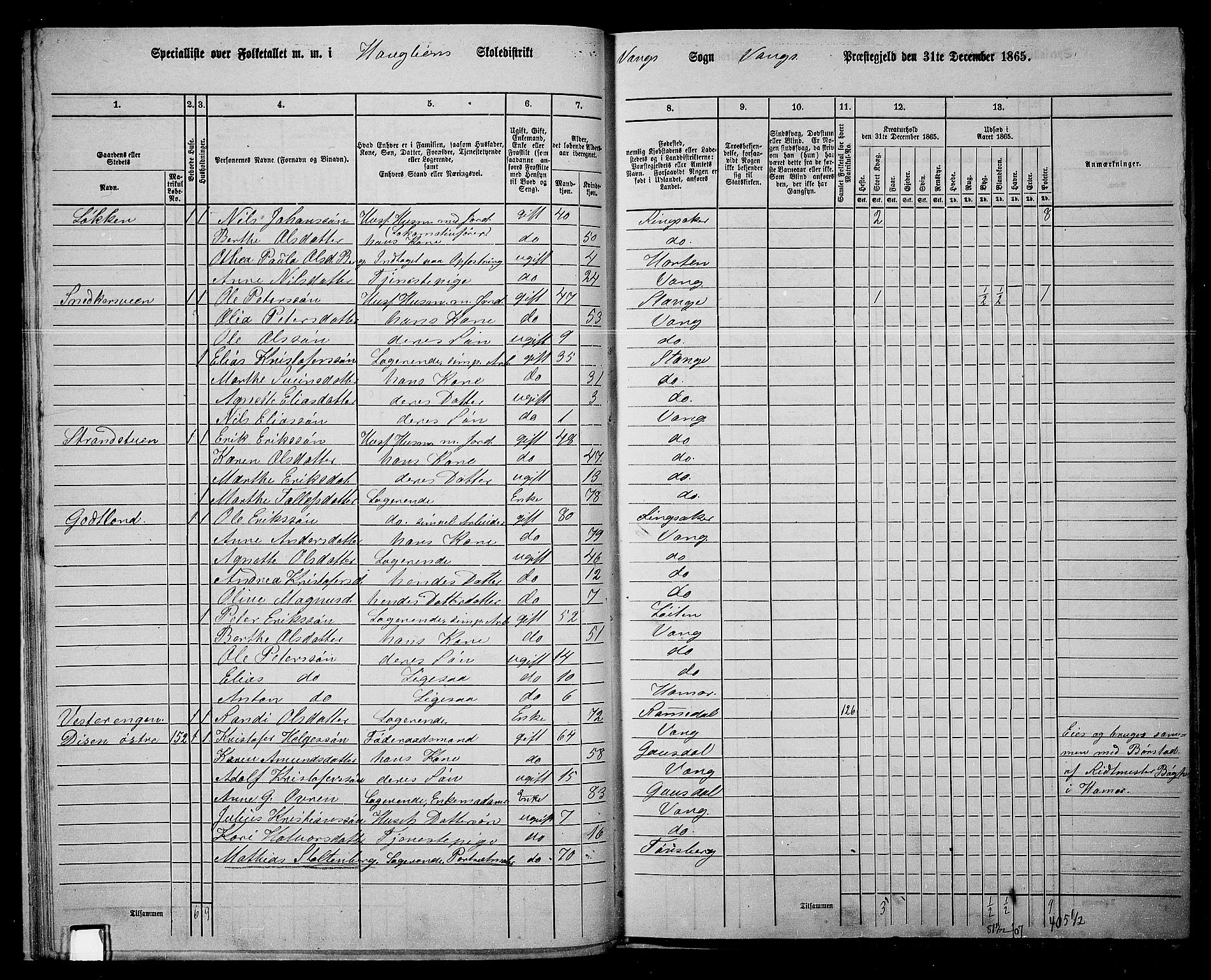 RA, 1865 census for Vang/Vang og Furnes, 1865, p. 168