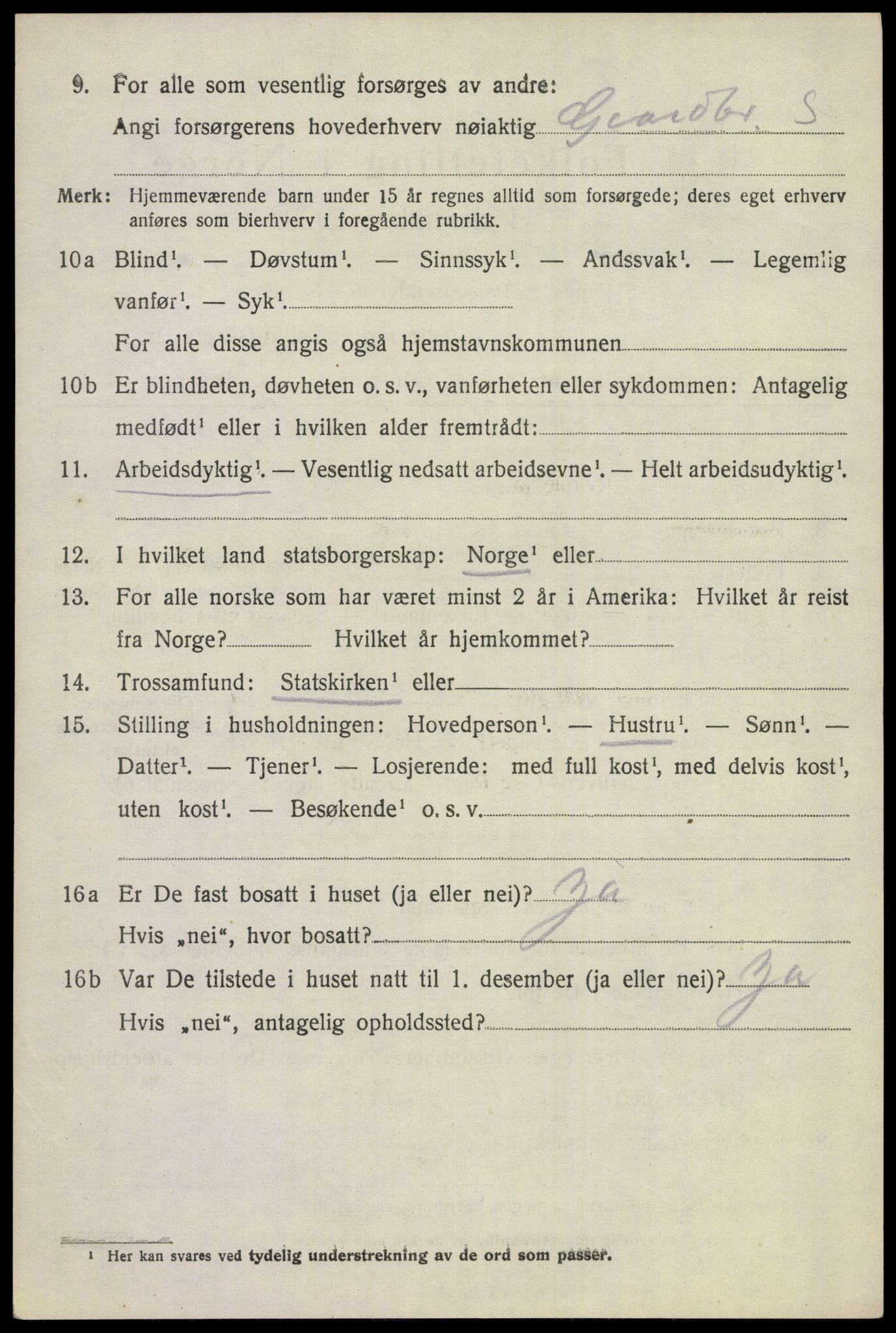 SAKO, 1920 census for Hol (Buskerud), 1920, p. 2942