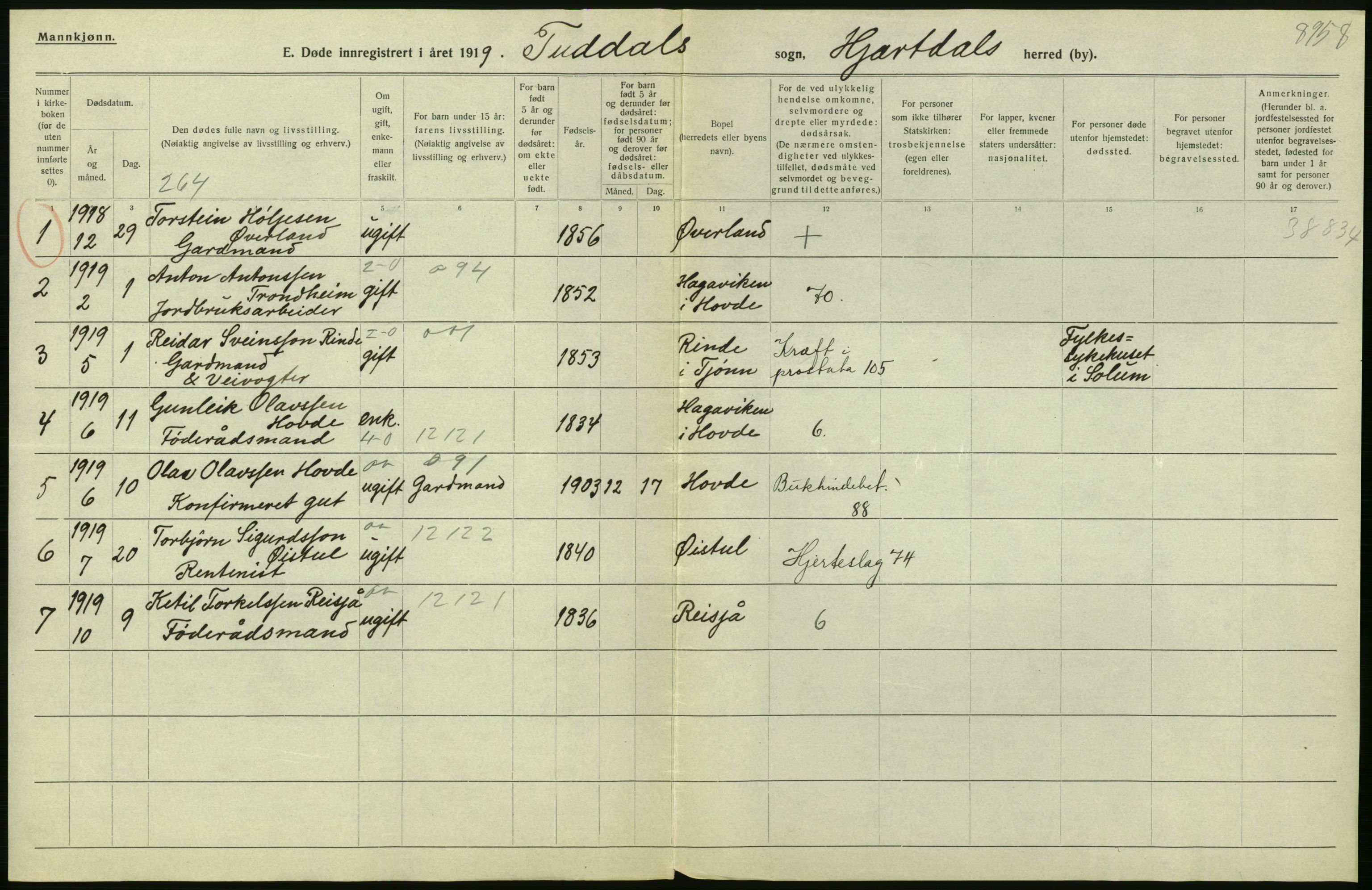 Statistisk sentralbyrå, Sosiodemografiske emner, Befolkning, RA/S-2228/D/Df/Dfb/Dfbi/L0023: Telemark fylke: Døde. Bygder og byer., 1919, p. 134