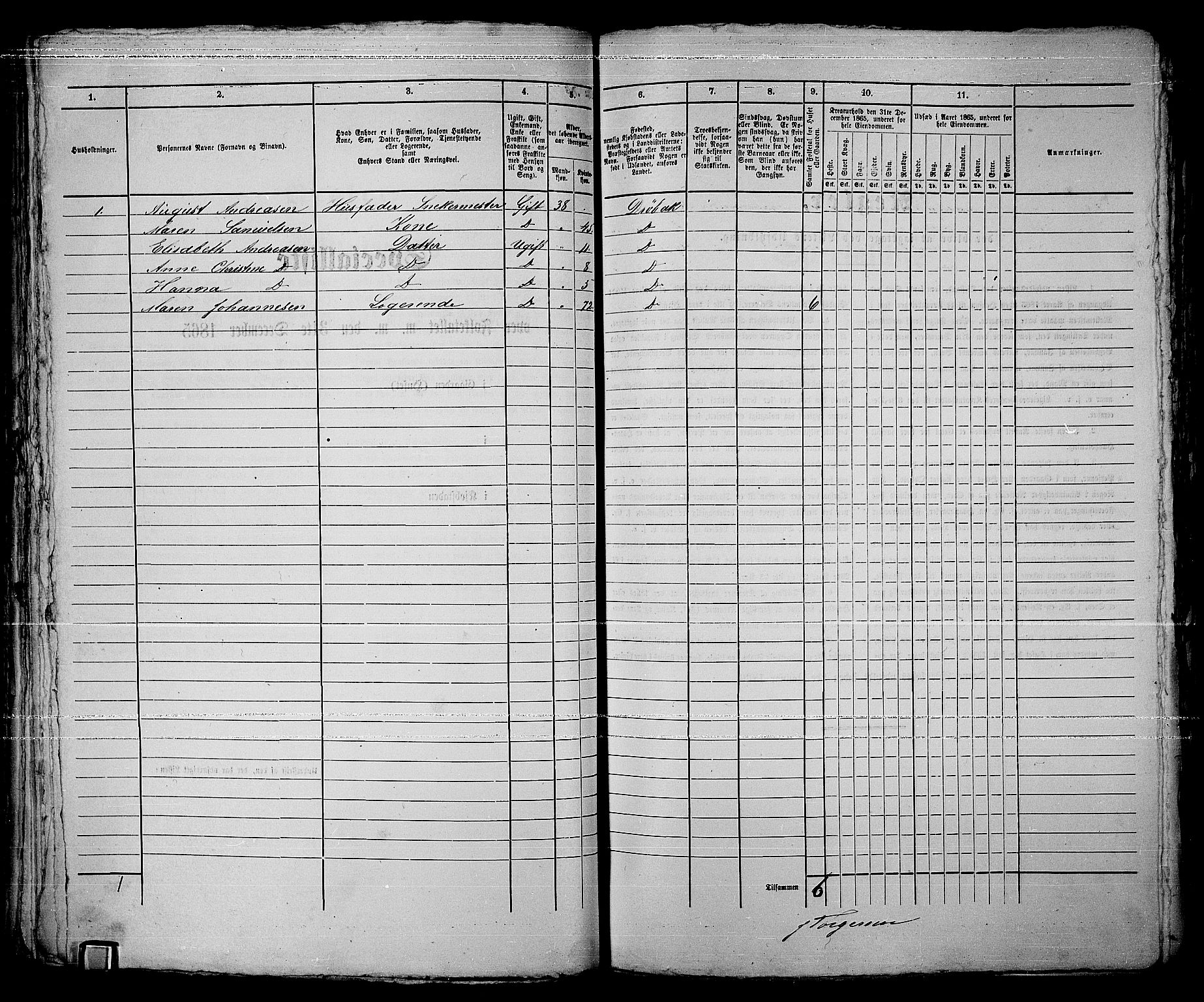 RA, 1865 census for Drøbak/Drøbak, 1865, p. 205