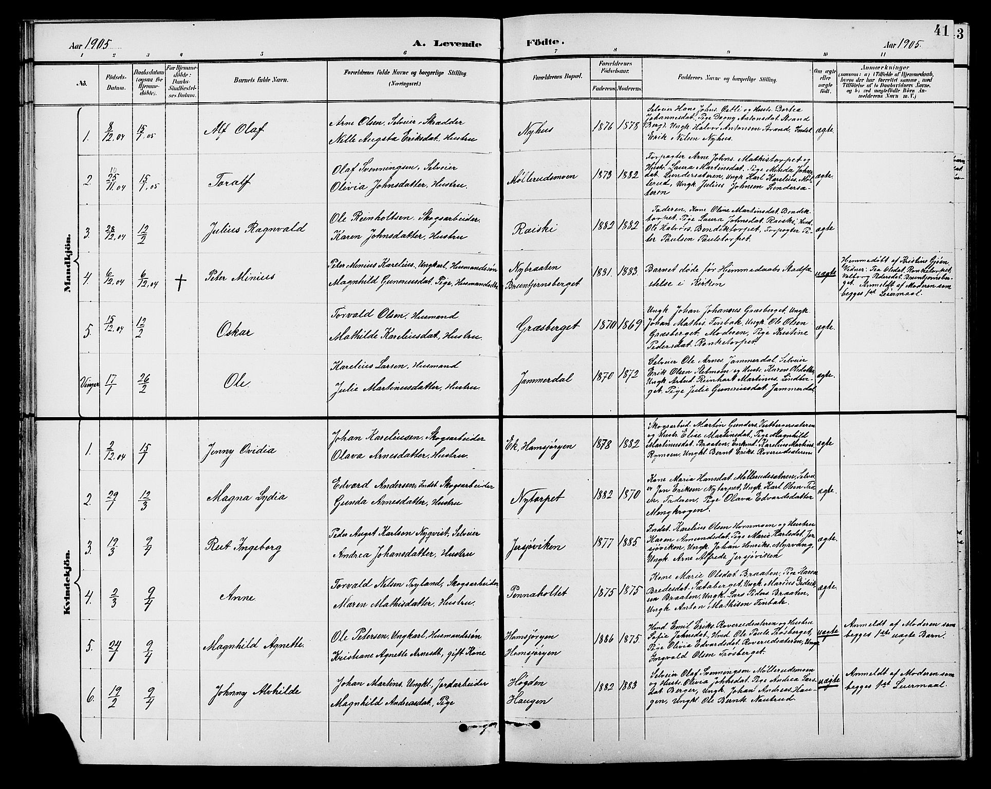 Brandval prestekontor, SAH/PREST-034/H/Ha/Hab/L0001: Parish register (copy) no. 1, 1895-1910, p. 41
