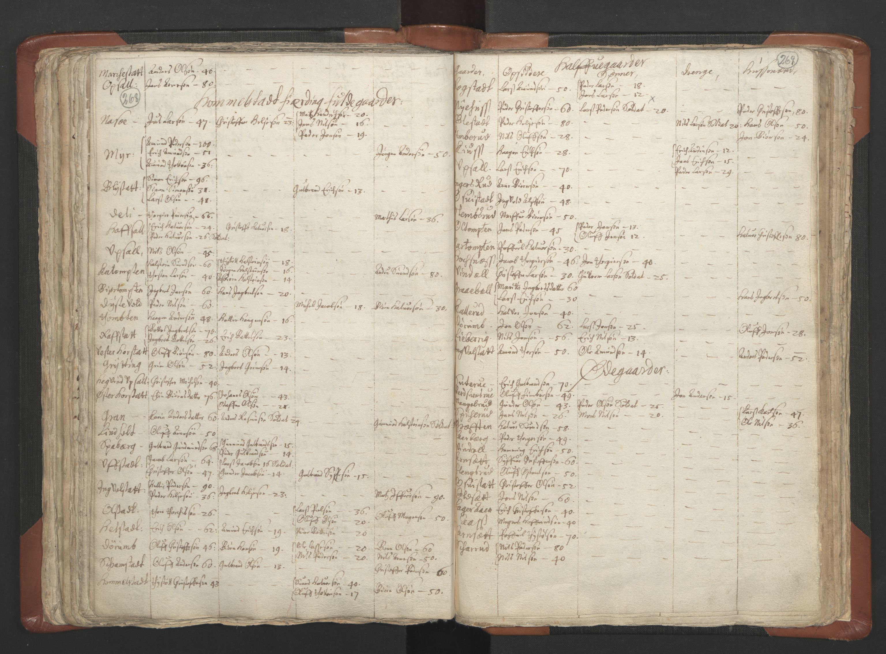 RA, Vicar's Census 1664-1666, no. 5: Hedmark deanery, 1664-1666, p. 268-269