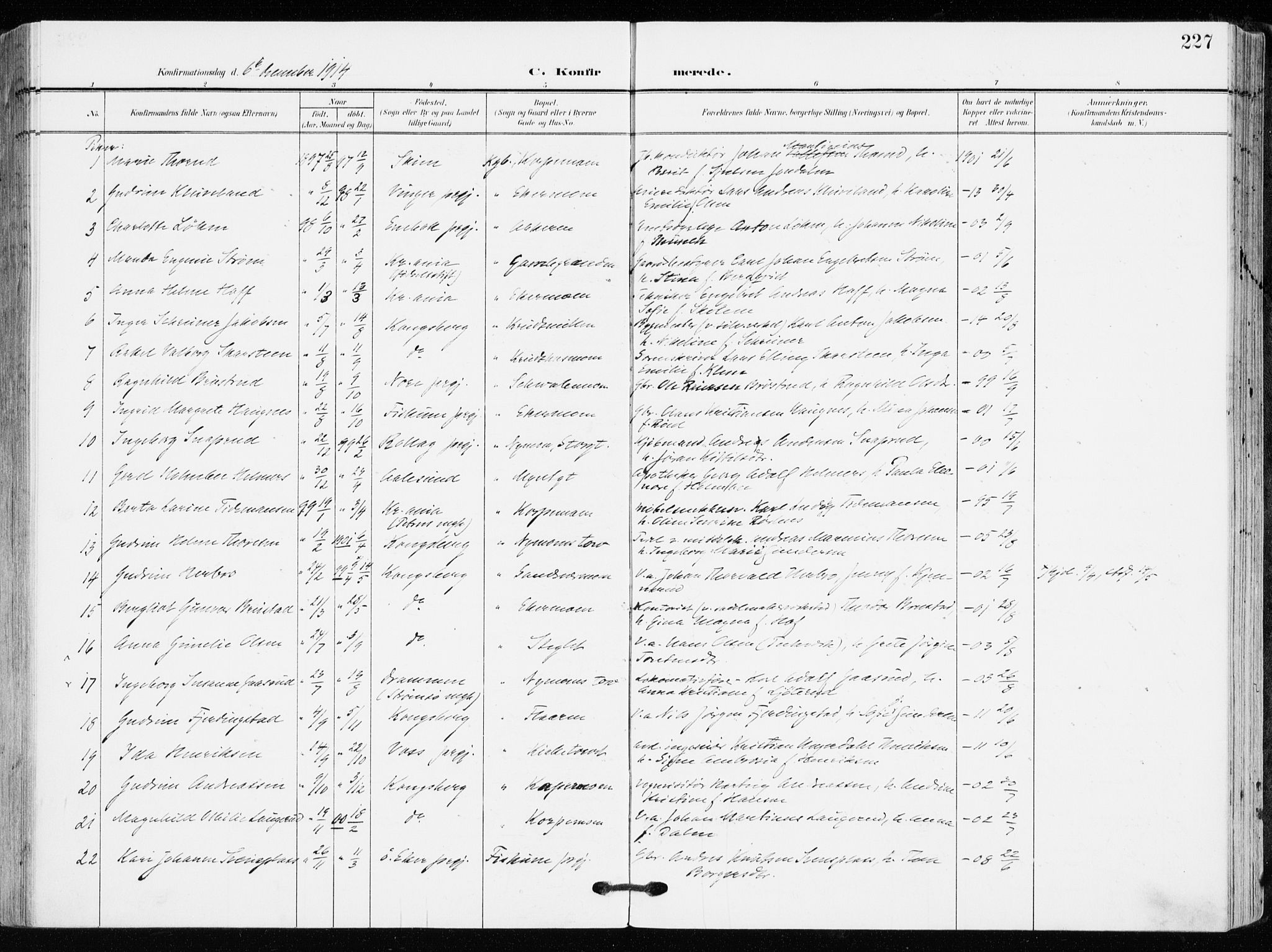 Kongsberg kirkebøker, AV/SAKO-A-22/F/Fb/L0004: Parish register (official) no. II 4, 1906-1918, p. 227