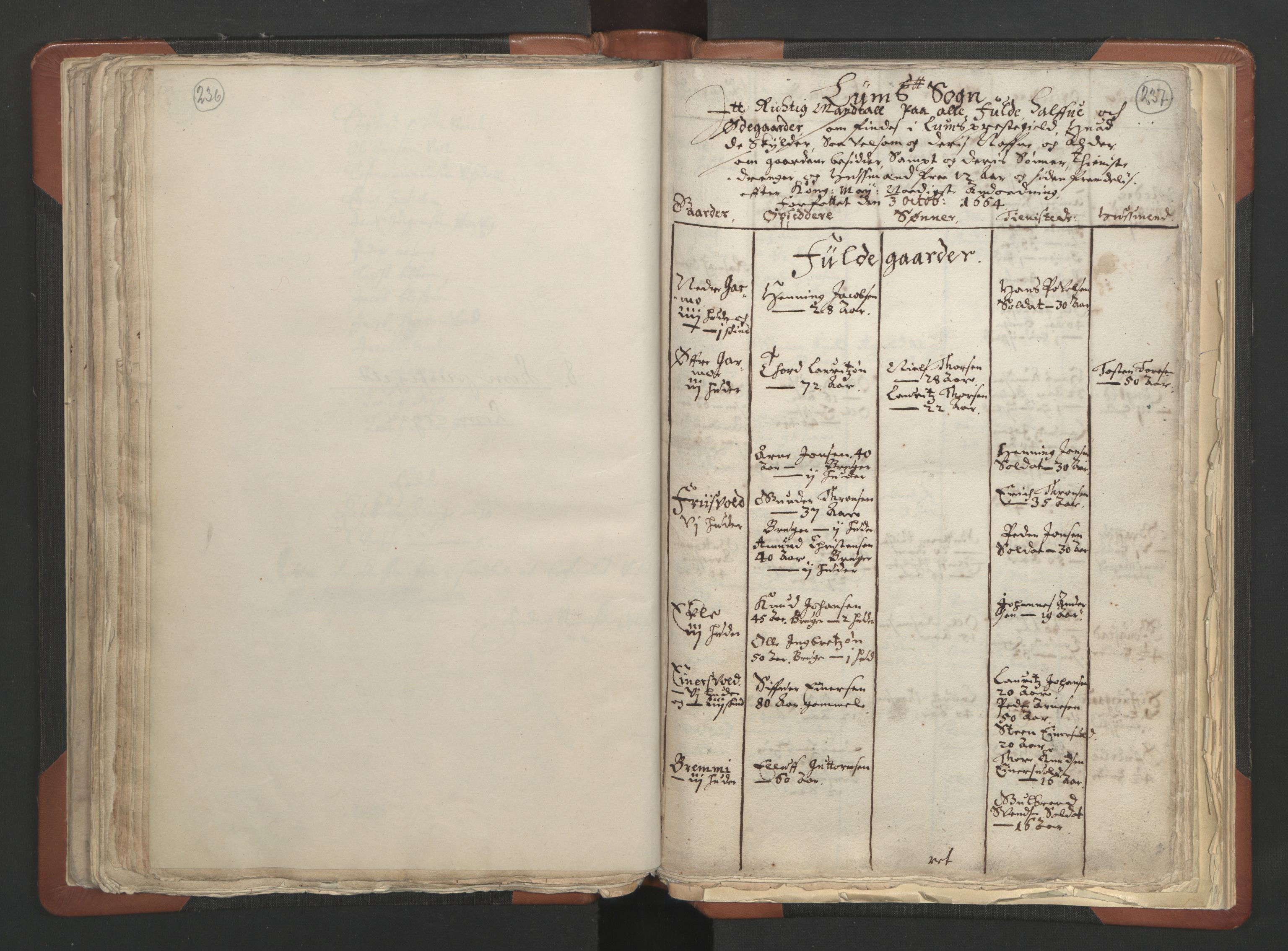 RA, Vicar's Census 1664-1666, no. 6: Gudbrandsdal deanery, 1664-1666, p. 236-237
