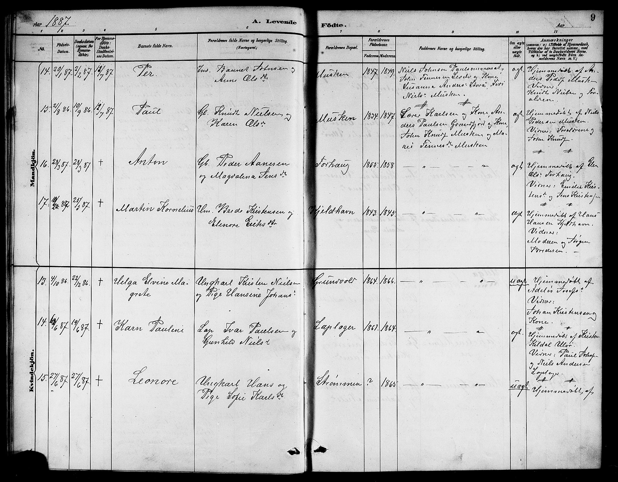 Ministerialprotokoller, klokkerbøker og fødselsregistre - Nordland, AV/SAT-A-1459/861/L0876: Parish register (copy) no. 861C02, 1887-1903, p. 9