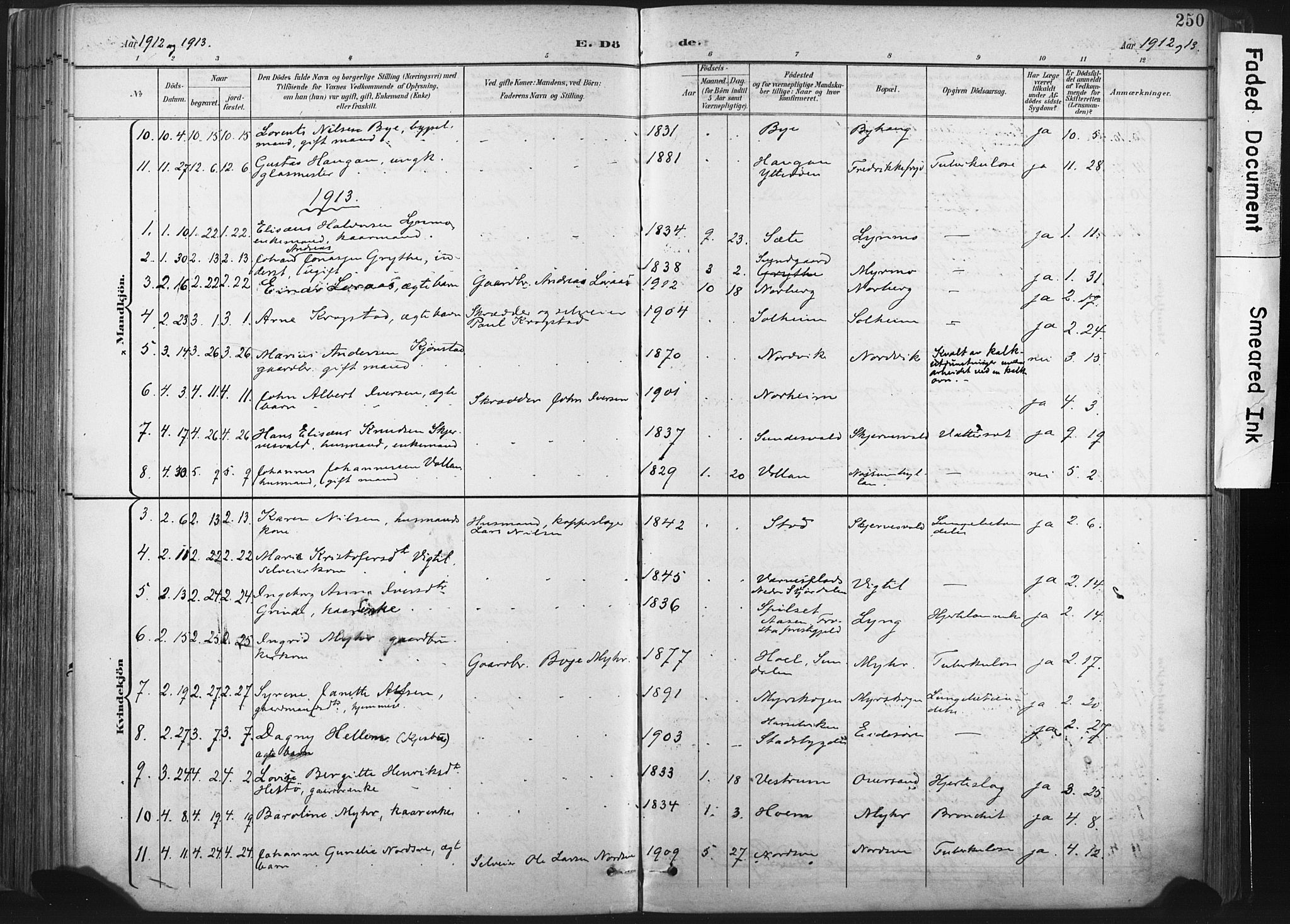 Ministerialprotokoller, klokkerbøker og fødselsregistre - Nord-Trøndelag, AV/SAT-A-1458/717/L0162: Parish register (official) no. 717A12, 1898-1923, p. 250