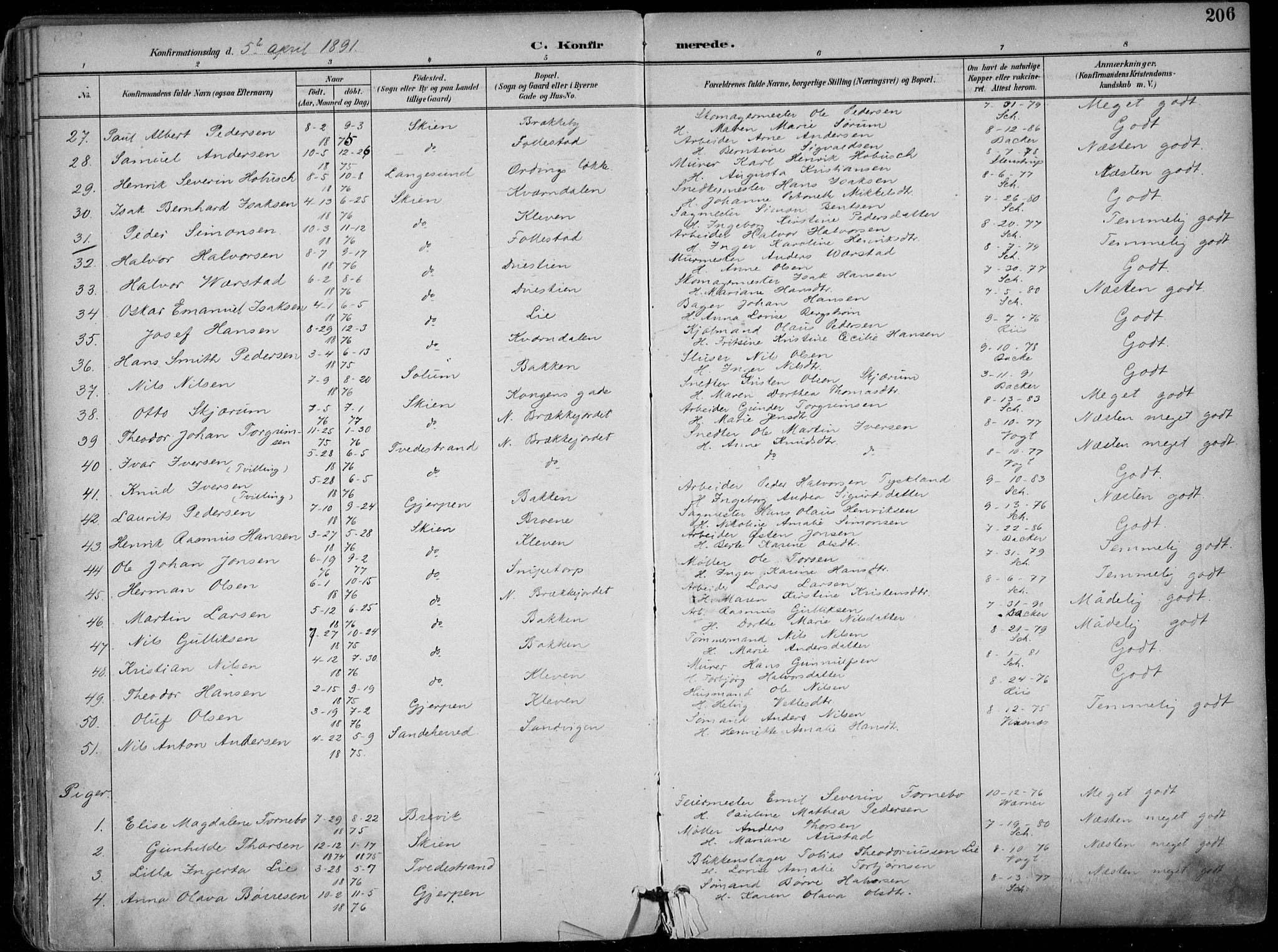 Skien kirkebøker, SAKO/A-302/F/Fa/L0010: Parish register (official) no. 10, 1891-1899, p. 206