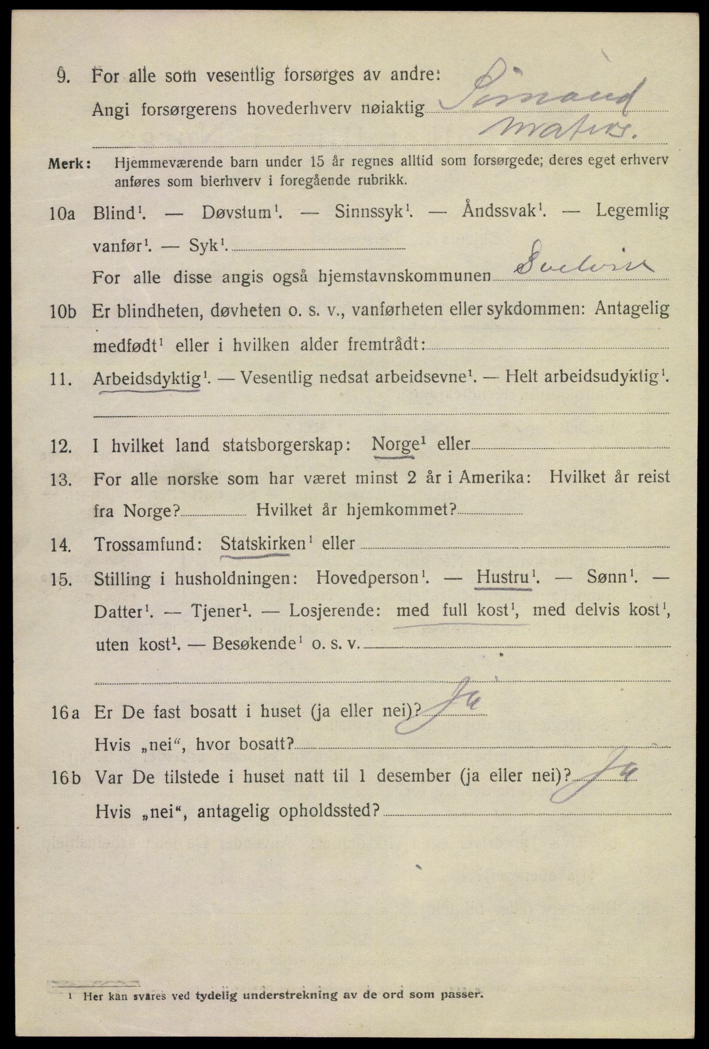 SAKO, 1920 census for Svelvik, 1920, p. 3378