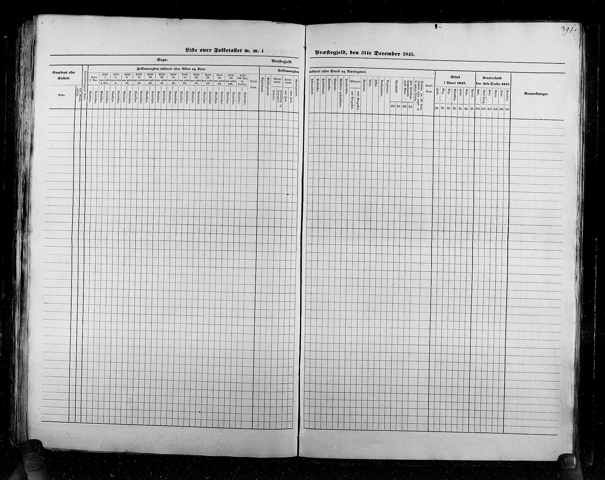 RA, Census 1845, vol. 6: Lister og Mandal amt og Stavanger amt, 1845, p. 391