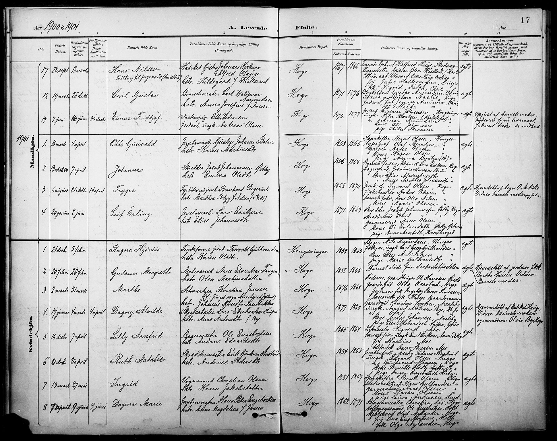 Vinger prestekontor, SAH/PREST-024/H/Ha/Hab/L0005: Parish register (copy) no. 5, 1895-1920, p. 17