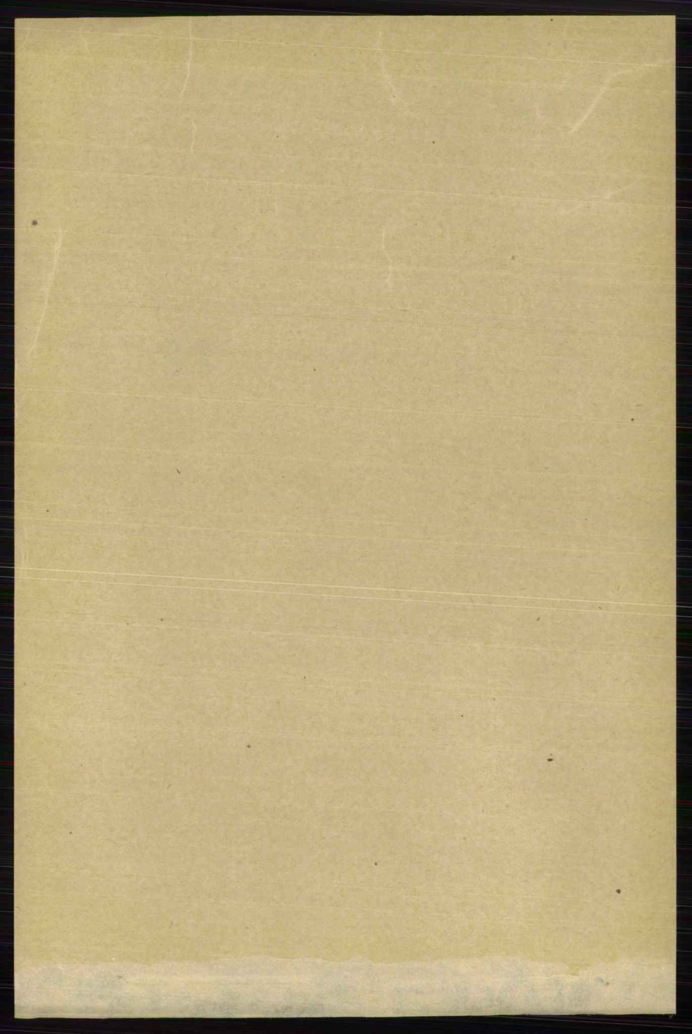 RA, 1891 census for 0726 Brunlanes, 1891, p. 1349