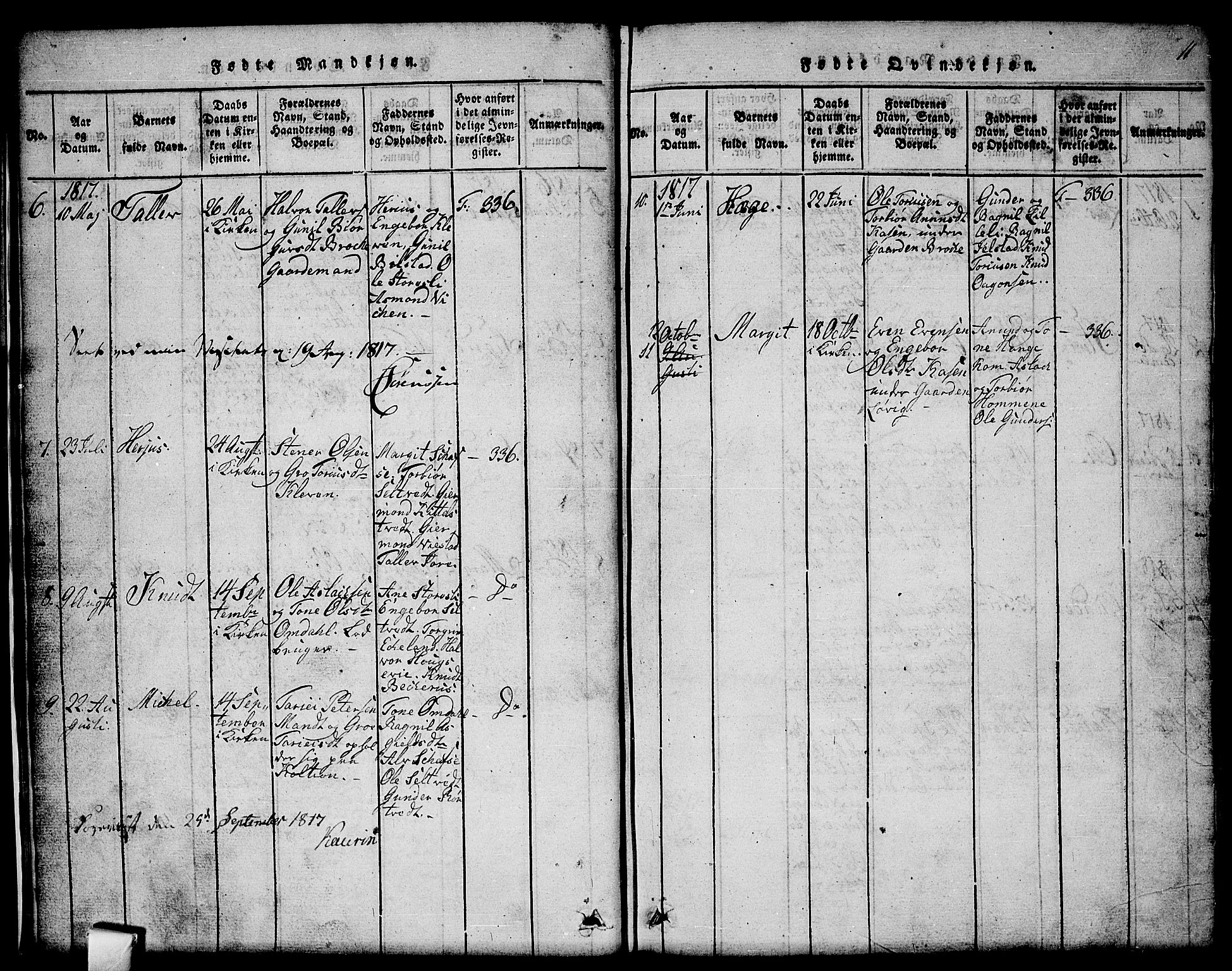 Mo kirkebøker, SAKO/A-286/G/Gb/L0001: Parish register (copy) no. II 1, 1814-1843, p. 11
