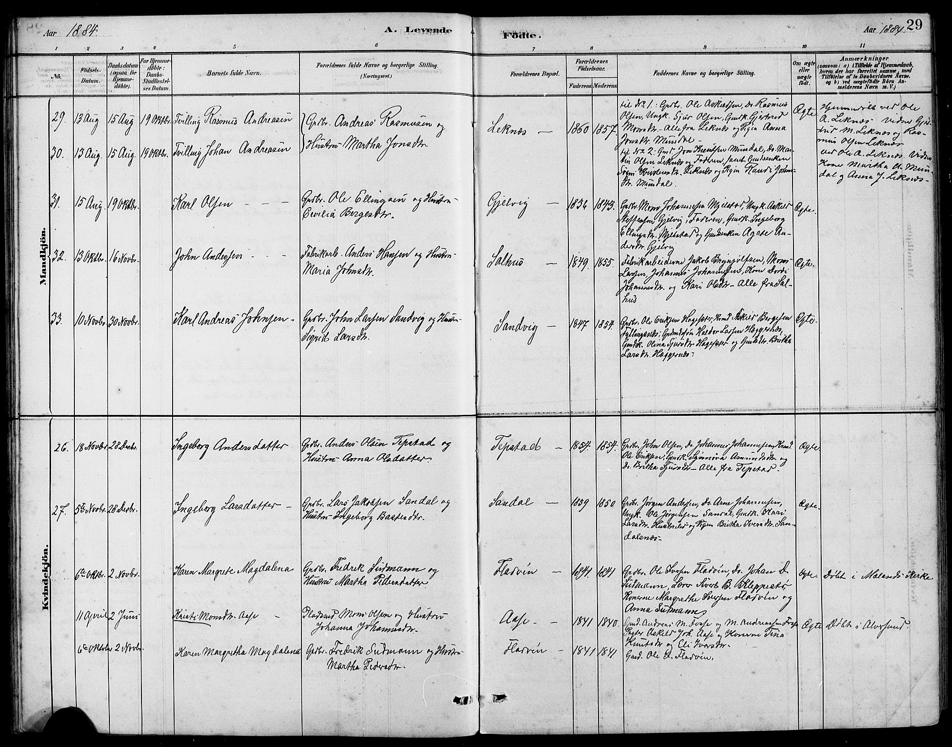 Hamre sokneprestembete, SAB/A-75501/H/Ha/Hab: Parish register (copy) no. B 3, 1881-1898, p. 29