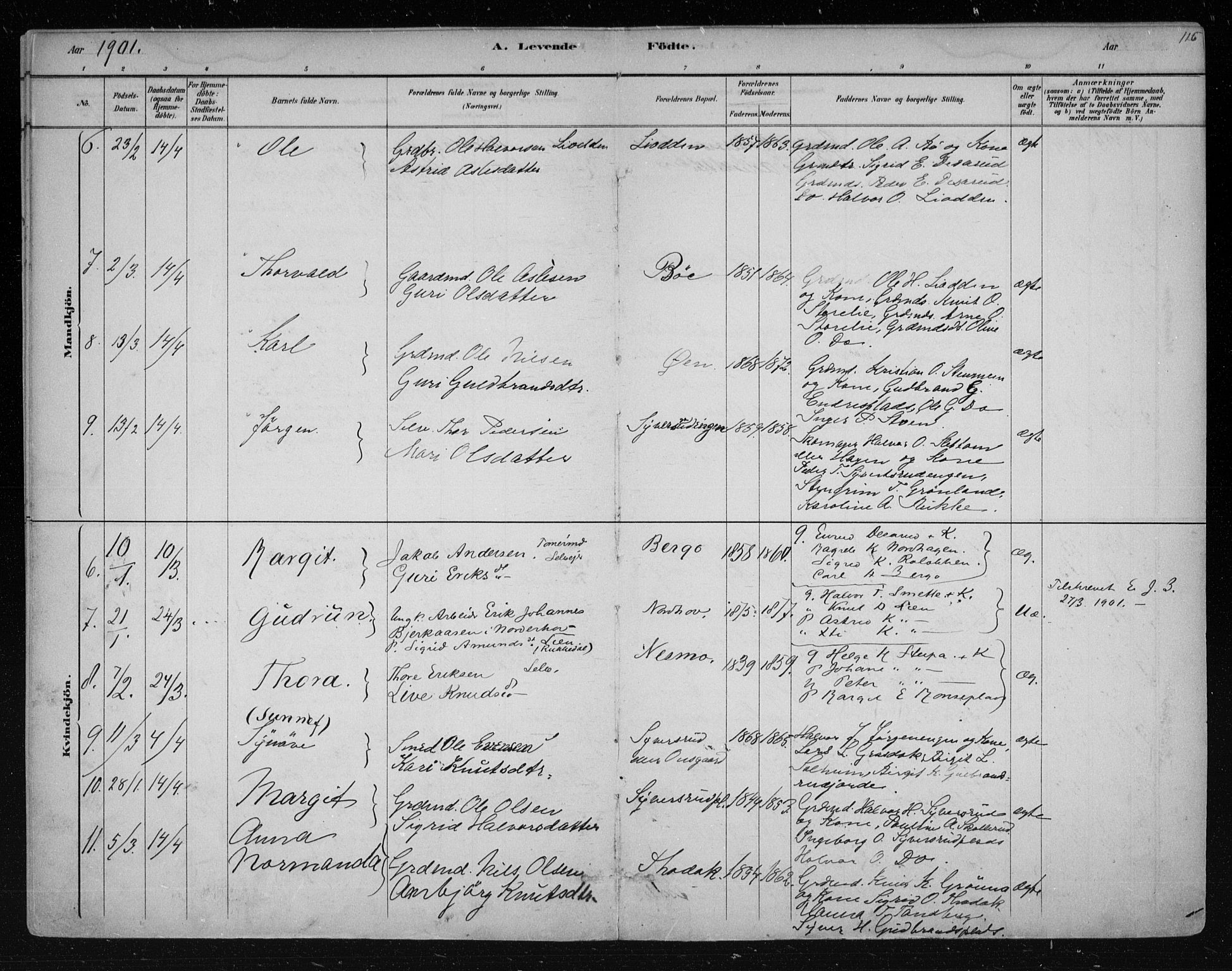 Nes kirkebøker, AV/SAKO-A-236/F/Fa/L0011: Parish register (official) no. 11, 1881-1912, p. 116