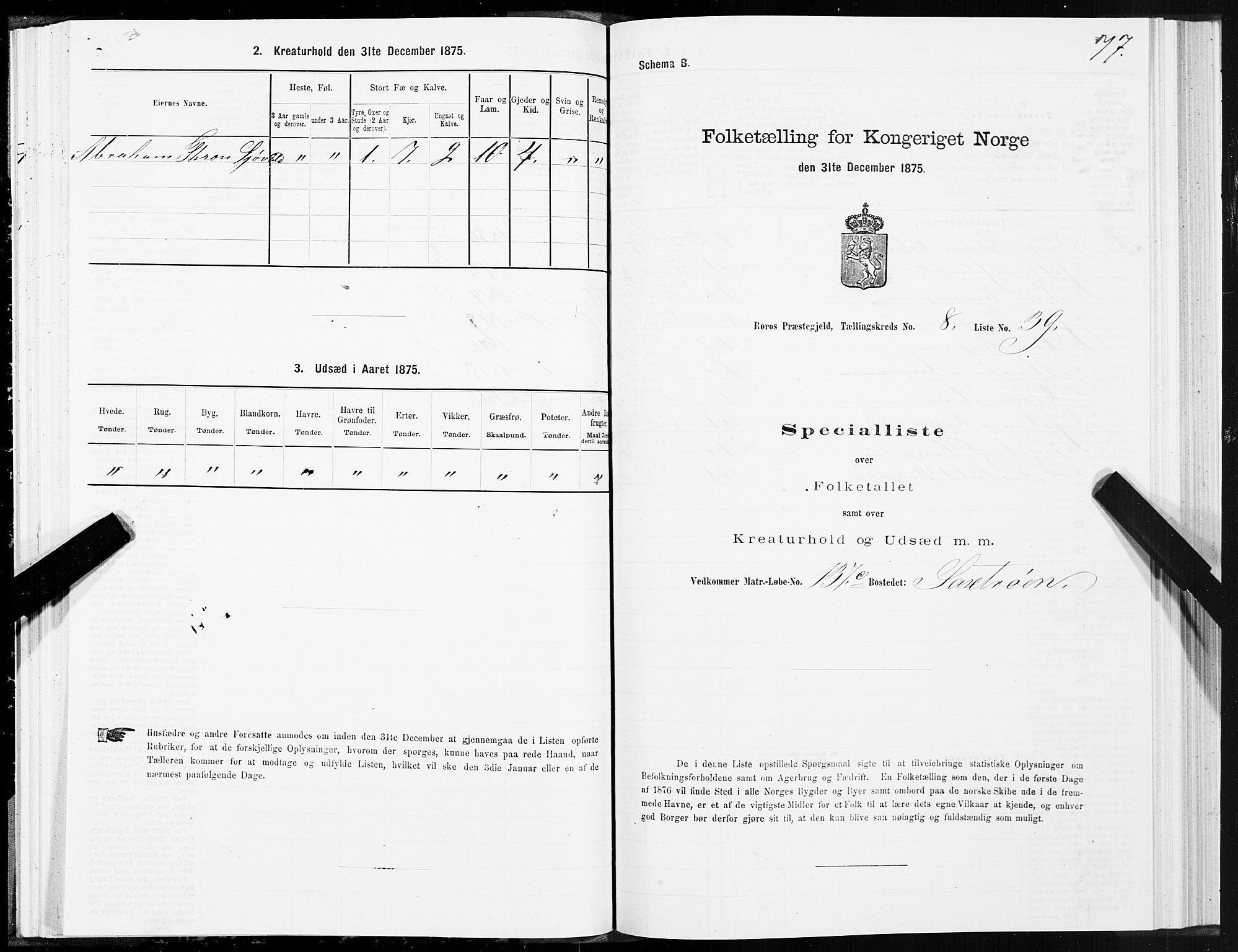 SAT, 1875 census for 1640P Røros, 1875, p. 5077