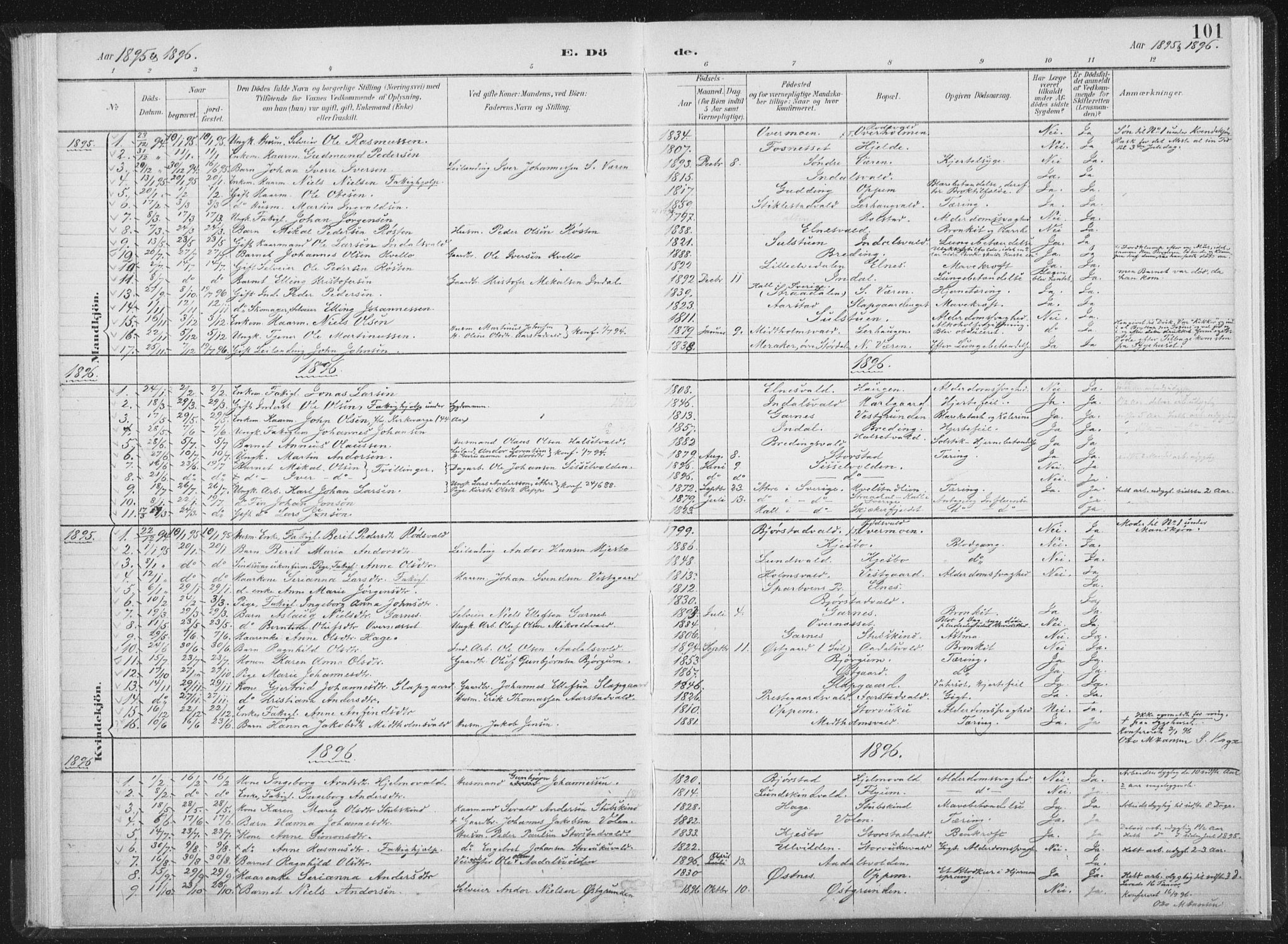 Ministerialprotokoller, klokkerbøker og fødselsregistre - Nord-Trøndelag, AV/SAT-A-1458/724/L0263: Parish register (official) no. 724A01, 1891-1907, p. 101