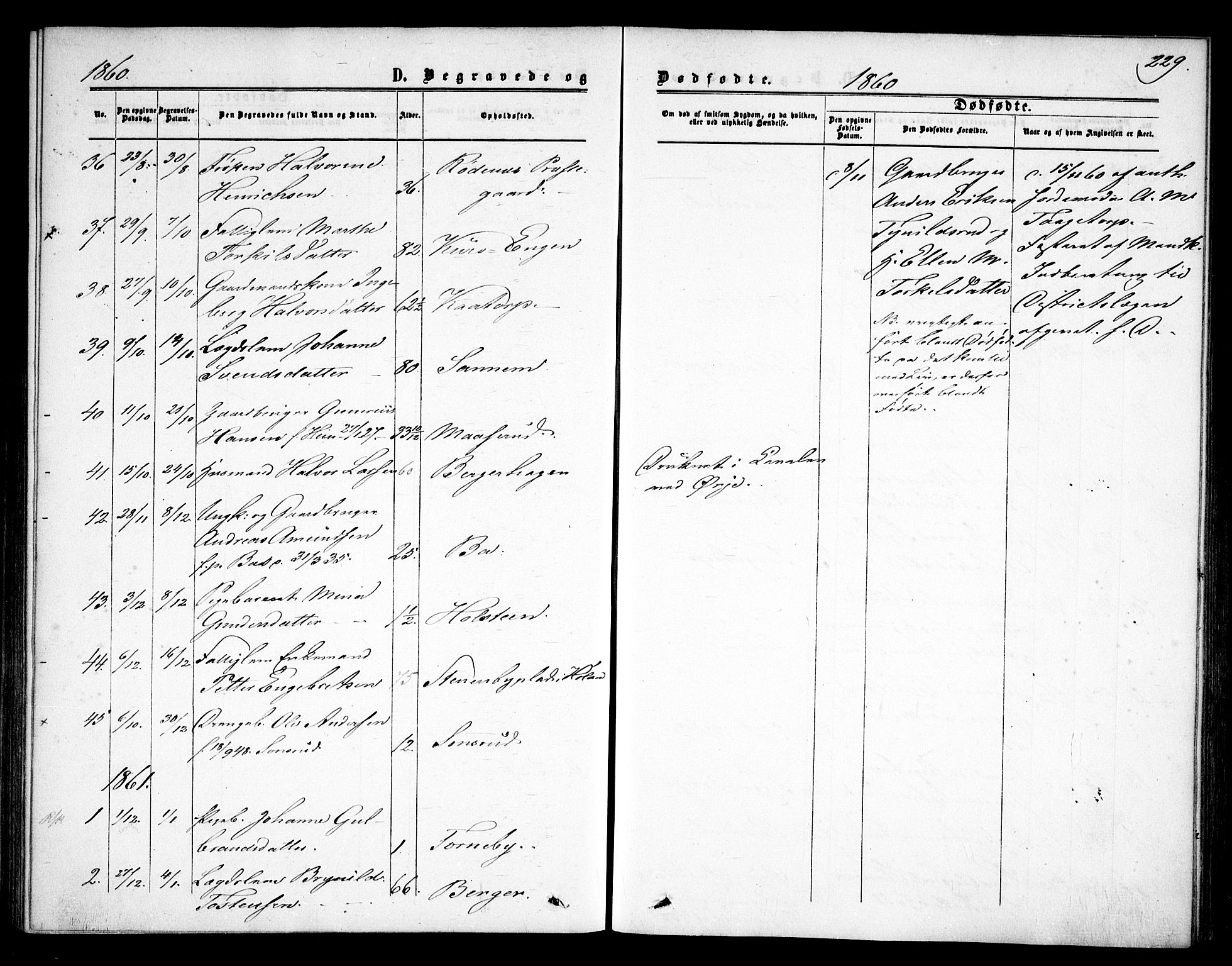 Rødenes prestekontor Kirkebøker, SAO/A-2005/F/Fa/L0007: Parish register (official) no. I 7, 1860-1869, p. 229