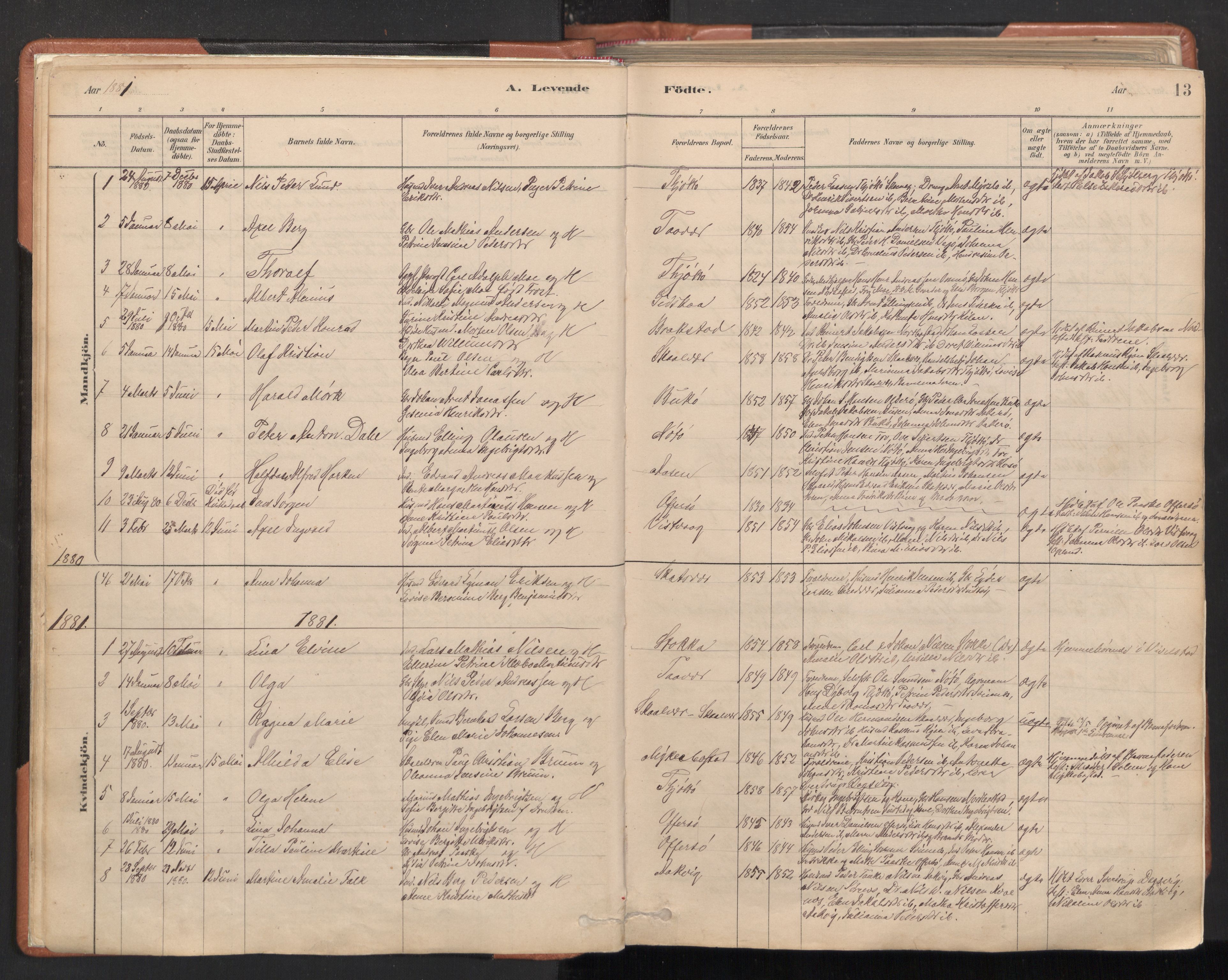 Ministerialprotokoller, klokkerbøker og fødselsregistre - Nordland, SAT/A-1459/817/L0264: Parish register (official) no. 817A04, 1878-1907, p. 13