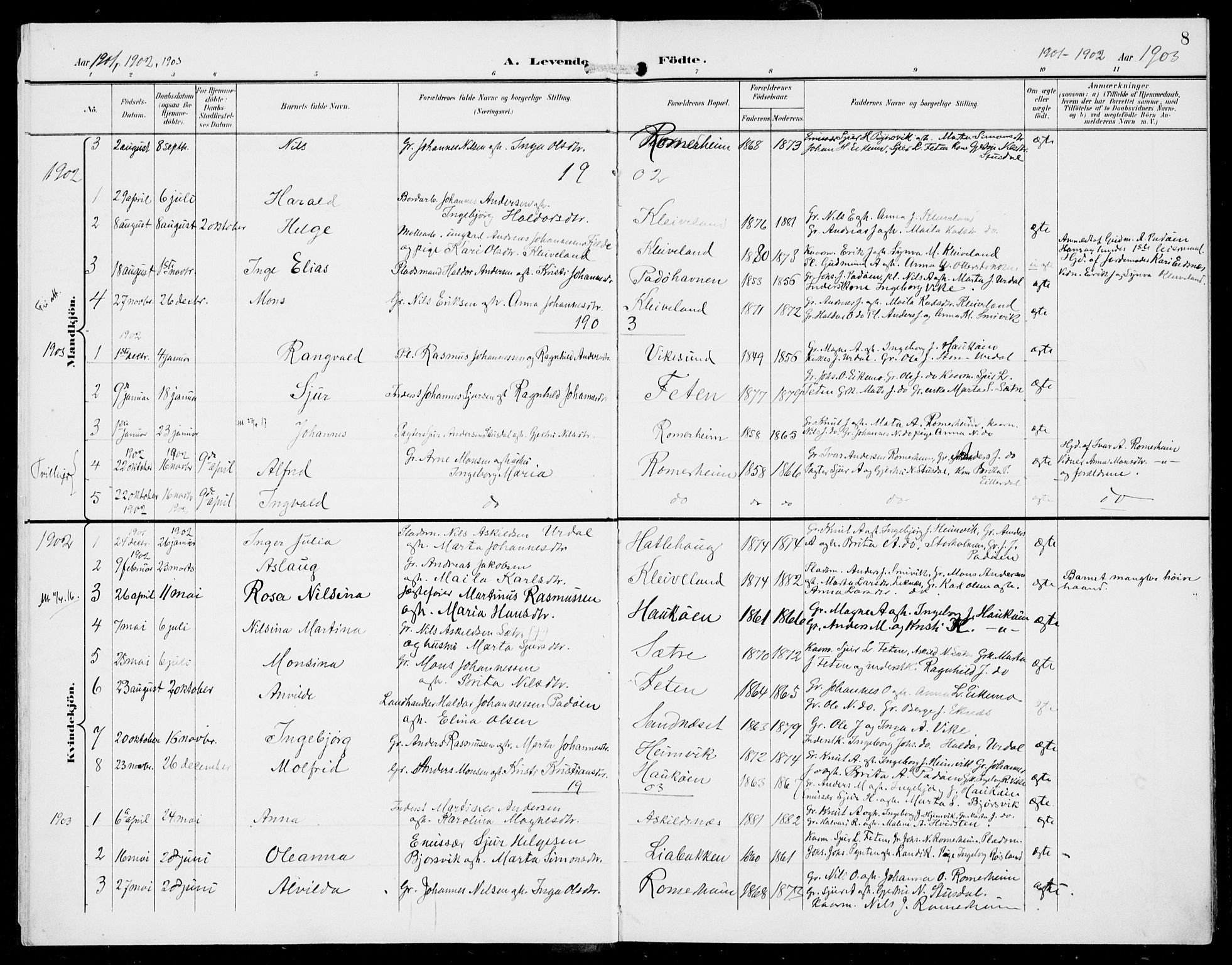 Hosanger sokneprestembete, AV/SAB-A-75801/H/Haa: Parish register (official) no. D  1, 1896-1922, p. 8