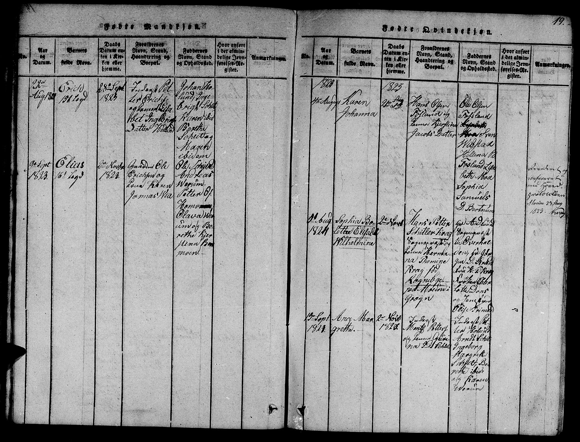 Ministerialprotokoller, klokkerbøker og fødselsregistre - Nord-Trøndelag, AV/SAT-A-1458/758/L0521: Parish register (copy) no. 758C01, 1816-1825, p. 19