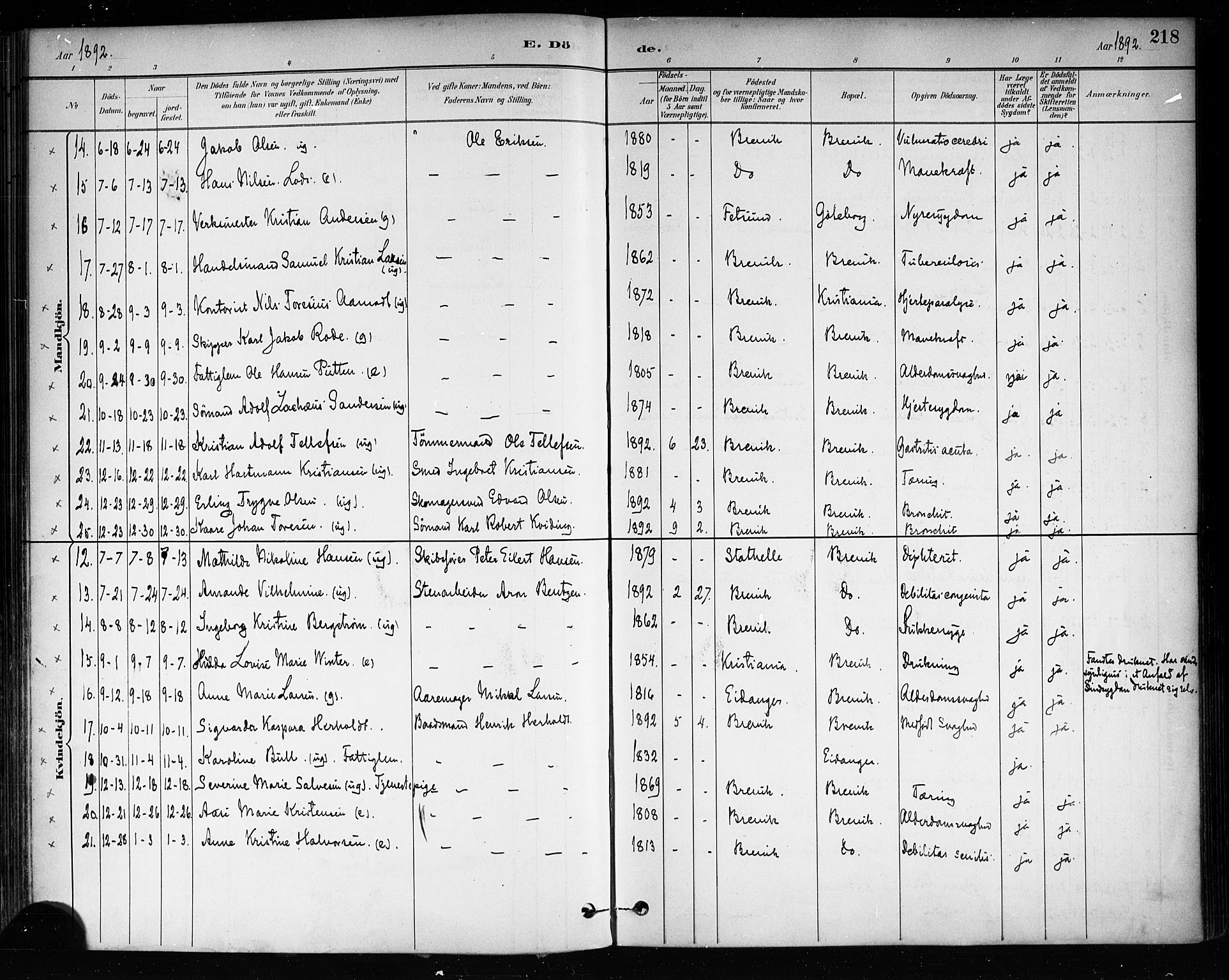 Brevik kirkebøker, SAKO/A-255/F/Fa/L0007: Parish register (official) no. 7, 1882-1900, p. 218