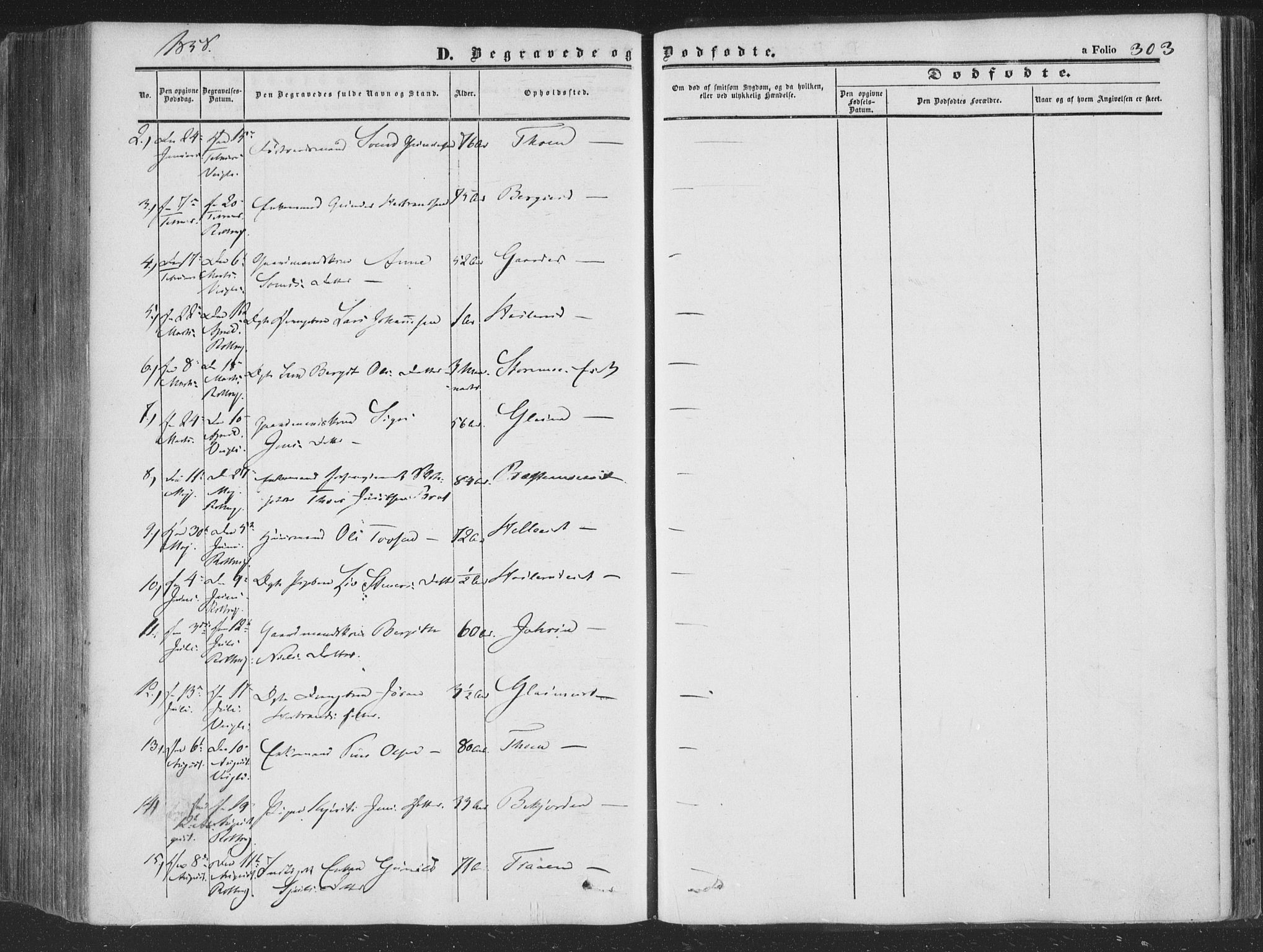 Rollag kirkebøker, AV/SAKO-A-240/F/Fa/L0008: Parish register (official) no. I 8, 1847-1860, p. 303