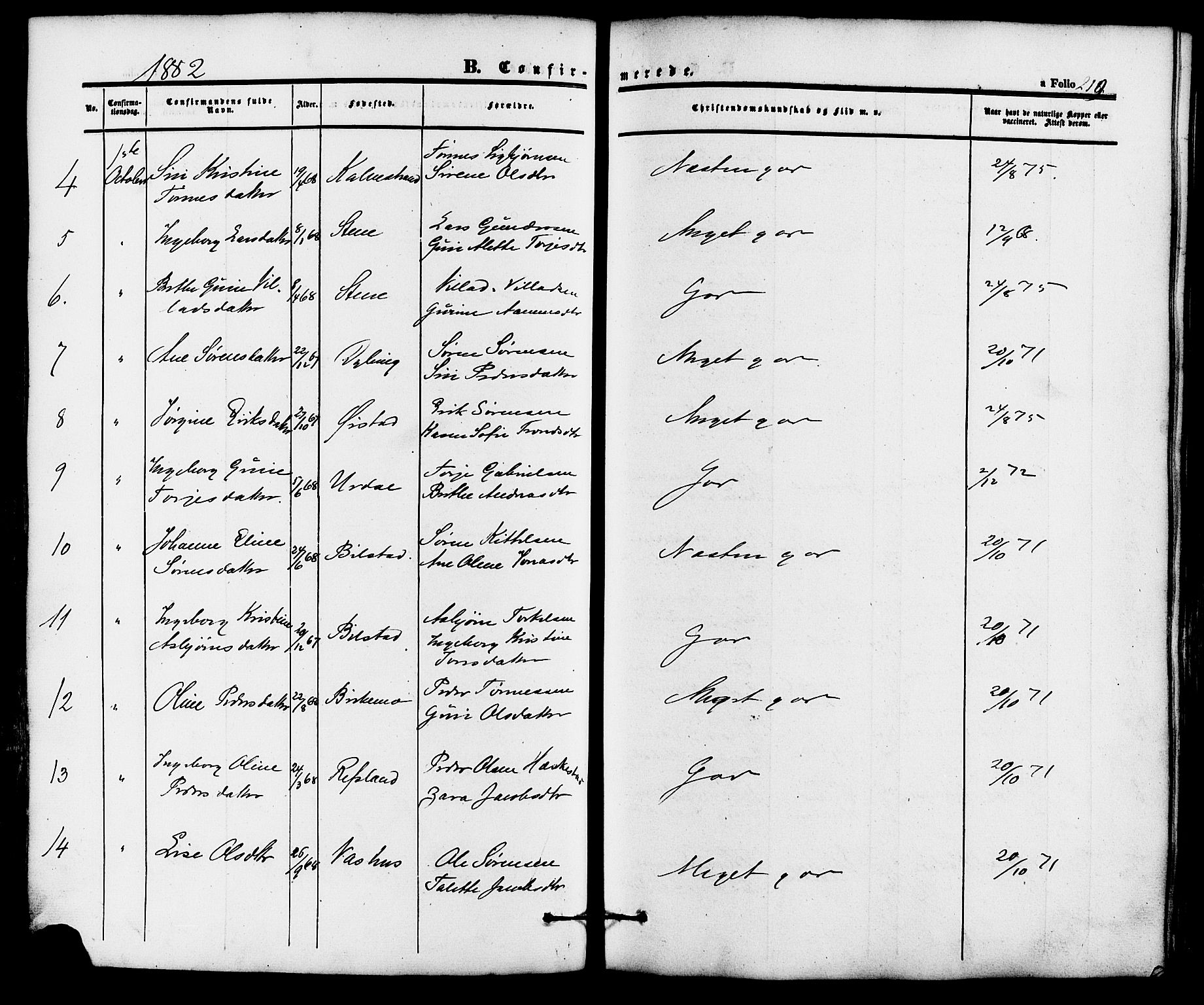 Lund sokneprestkontor, AV/SAST-A-101809/S06/L0010: Parish register (official) no. A 9, 1854-1886, p. 219