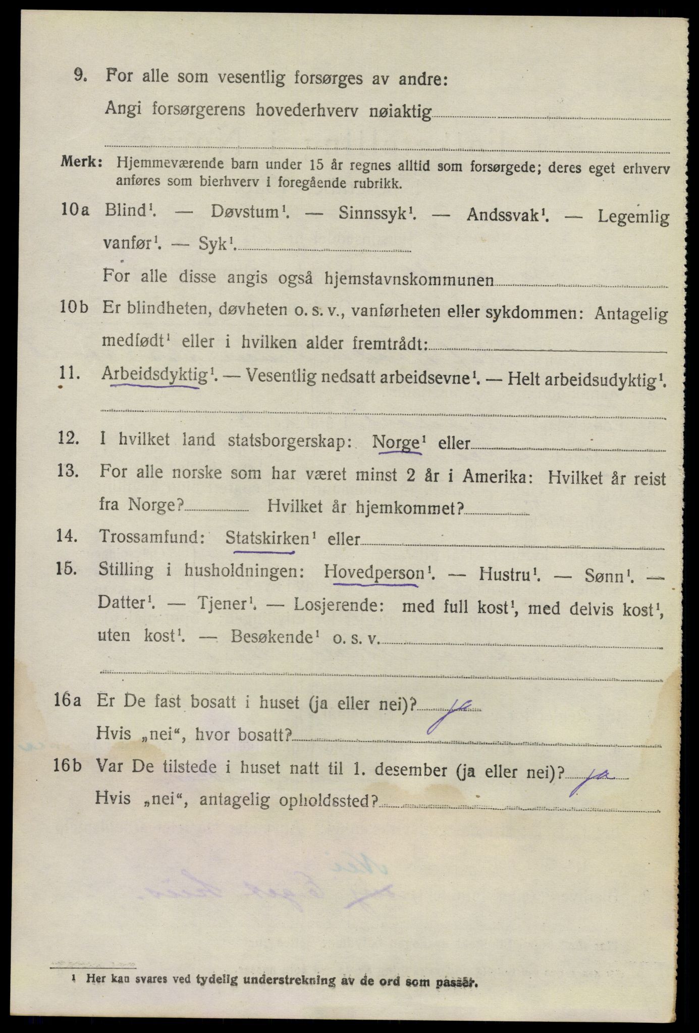 SAO, 1920 census for Nes, 1920, p. 7101