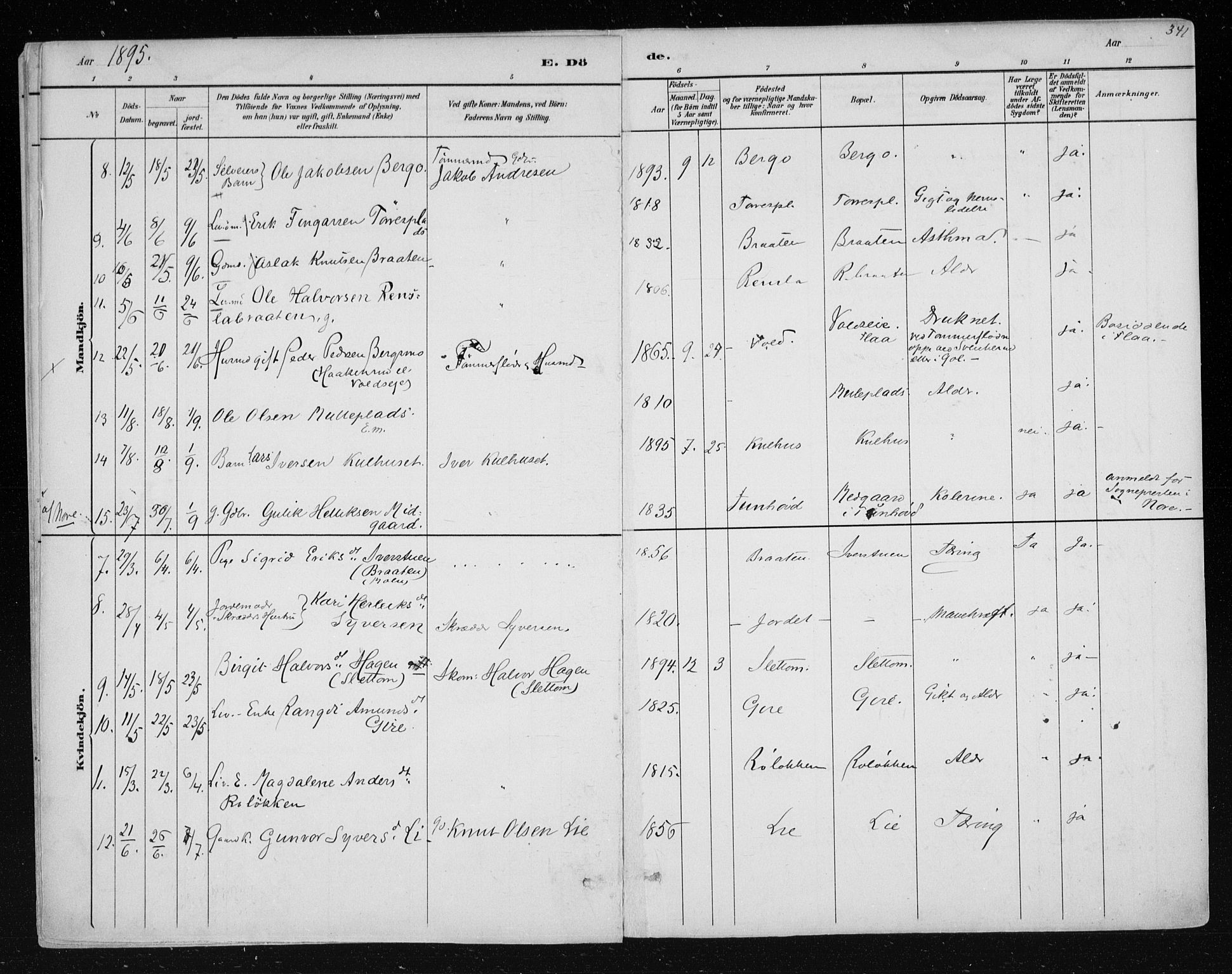 Nes kirkebøker, AV/SAKO-A-236/F/Fa/L0011: Parish register (official) no. 11, 1881-1912, p. 341