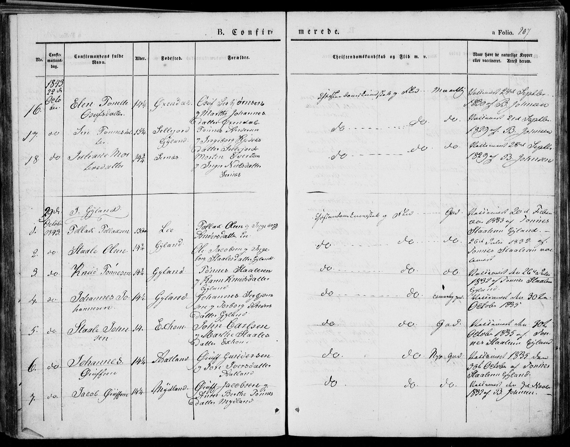 Bakke sokneprestkontor, AV/SAK-1111-0002/F/Fa/Faa/L0004: Parish register (official) no. A 4, 1834-1846, p. 207