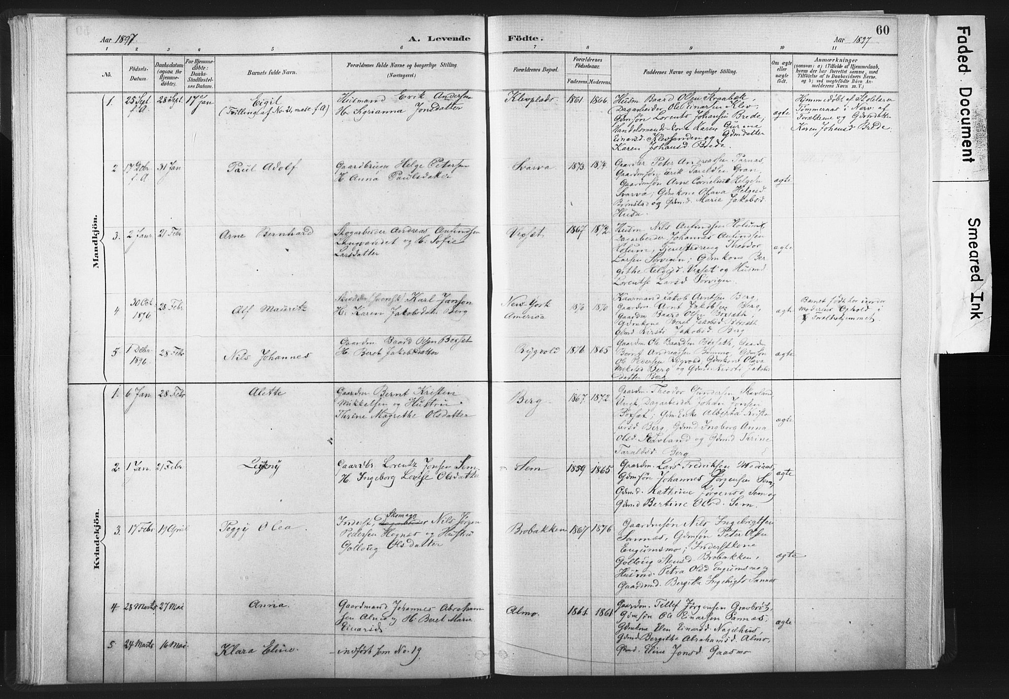 Ministerialprotokoller, klokkerbøker og fødselsregistre - Nord-Trøndelag, AV/SAT-A-1458/749/L0474: Parish register (official) no. 749A08, 1887-1903, p. 60