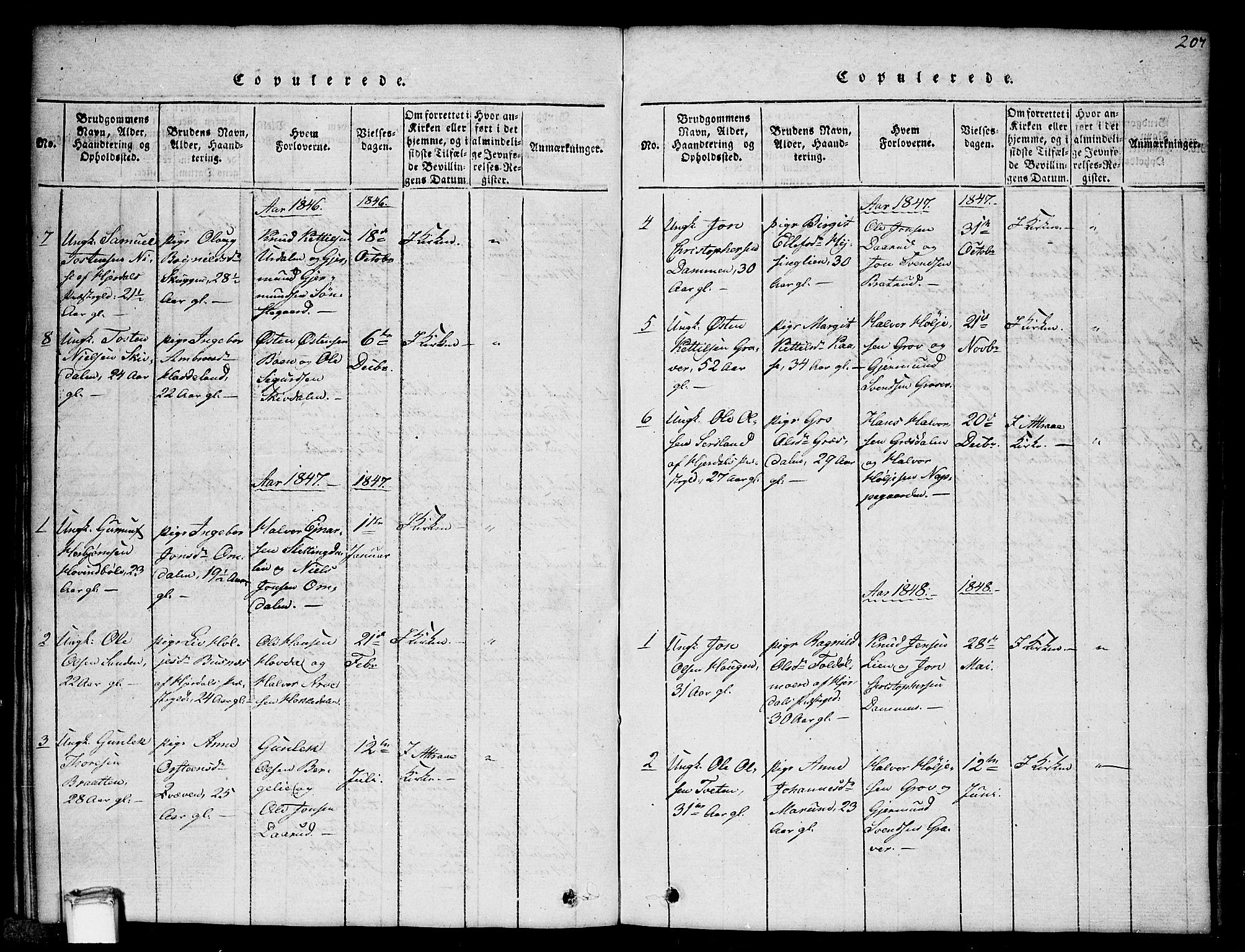 Gransherad kirkebøker, SAKO/A-267/G/Gb/L0001: Parish register (copy) no. II 1, 1815-1860, p. 207