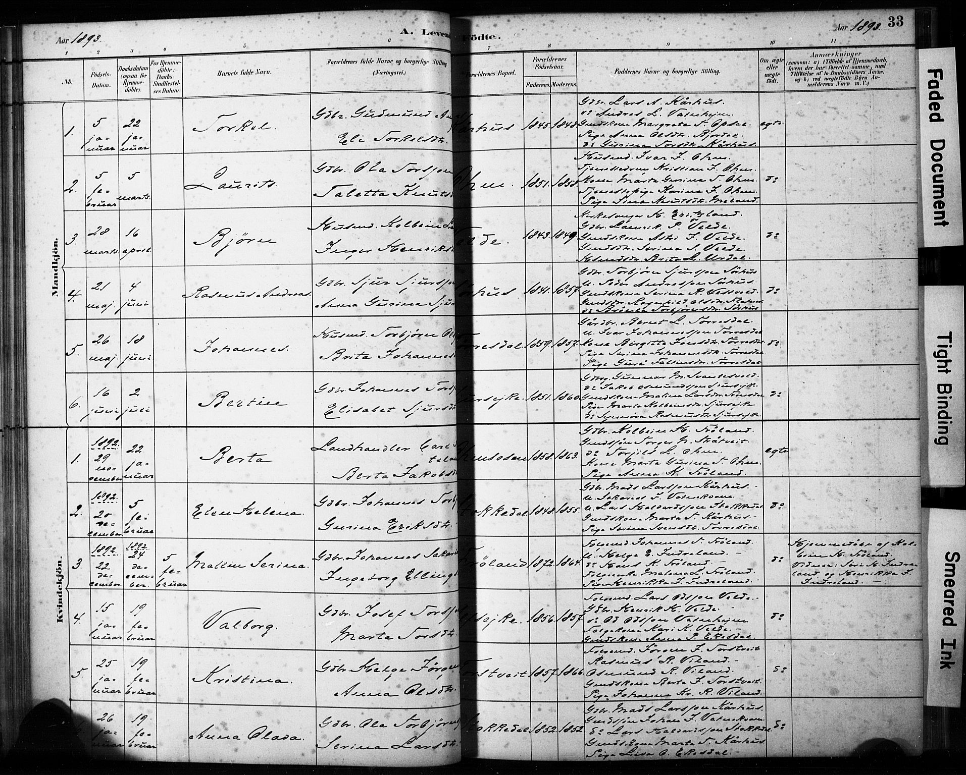 Skjold sokneprestkontor, AV/SAST-A-101847/H/Ha/Haa/L0009: Parish register (official) no. A 9, 1882-1898, p. 33