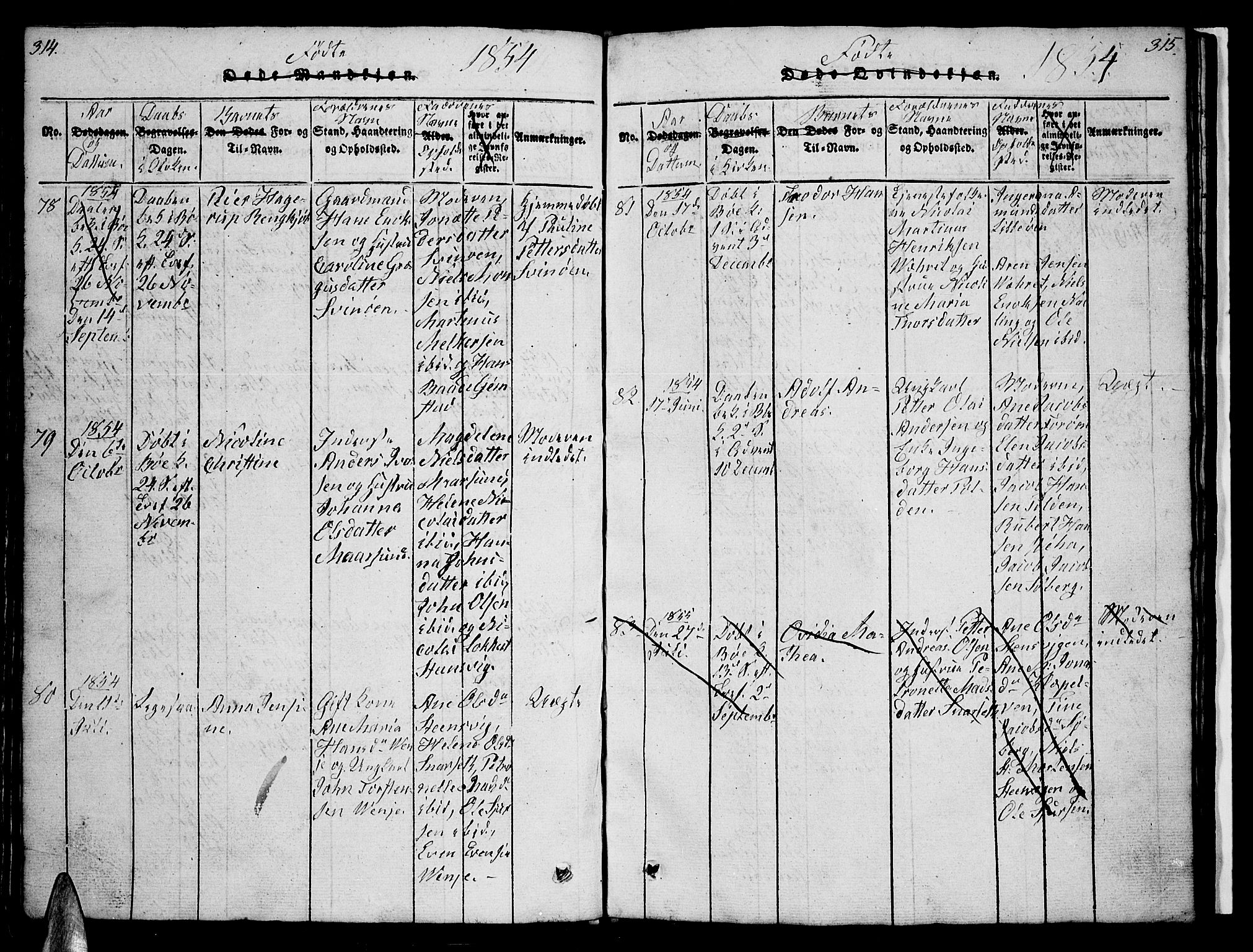 Ministerialprotokoller, klokkerbøker og fødselsregistre - Nordland, AV/SAT-A-1459/891/L1312: Parish register (copy) no. 891C01, 1820-1856, p. 314-315