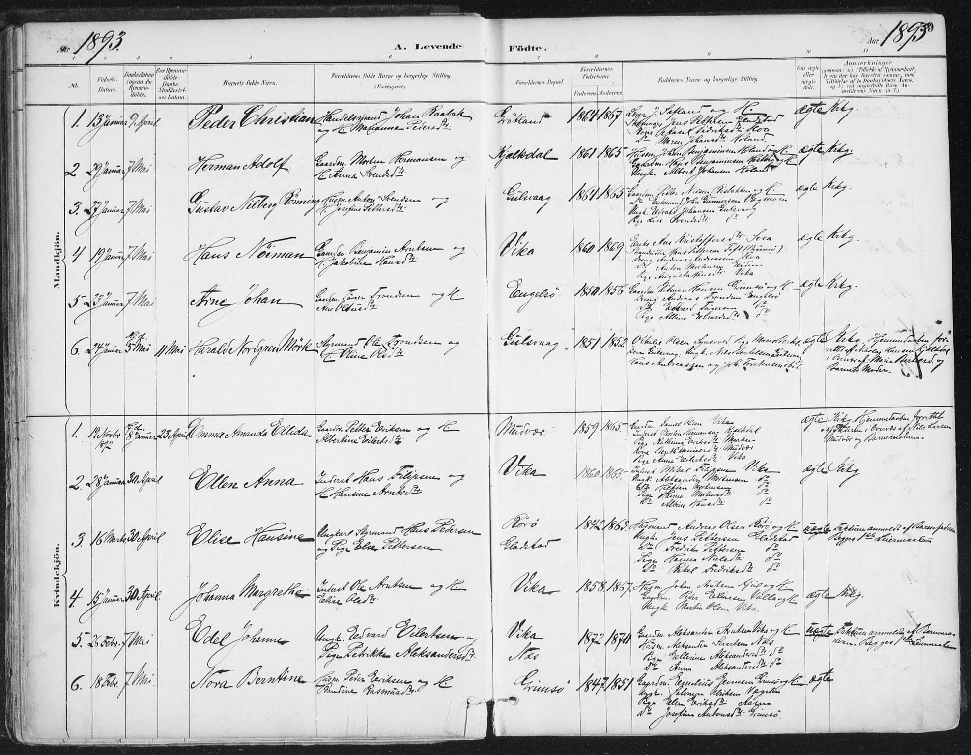 Ministerialprotokoller, klokkerbøker og fødselsregistre - Nordland, AV/SAT-A-1459/816/L0244: Parish register (official) no. 816A10, 1886-1903, p. 59