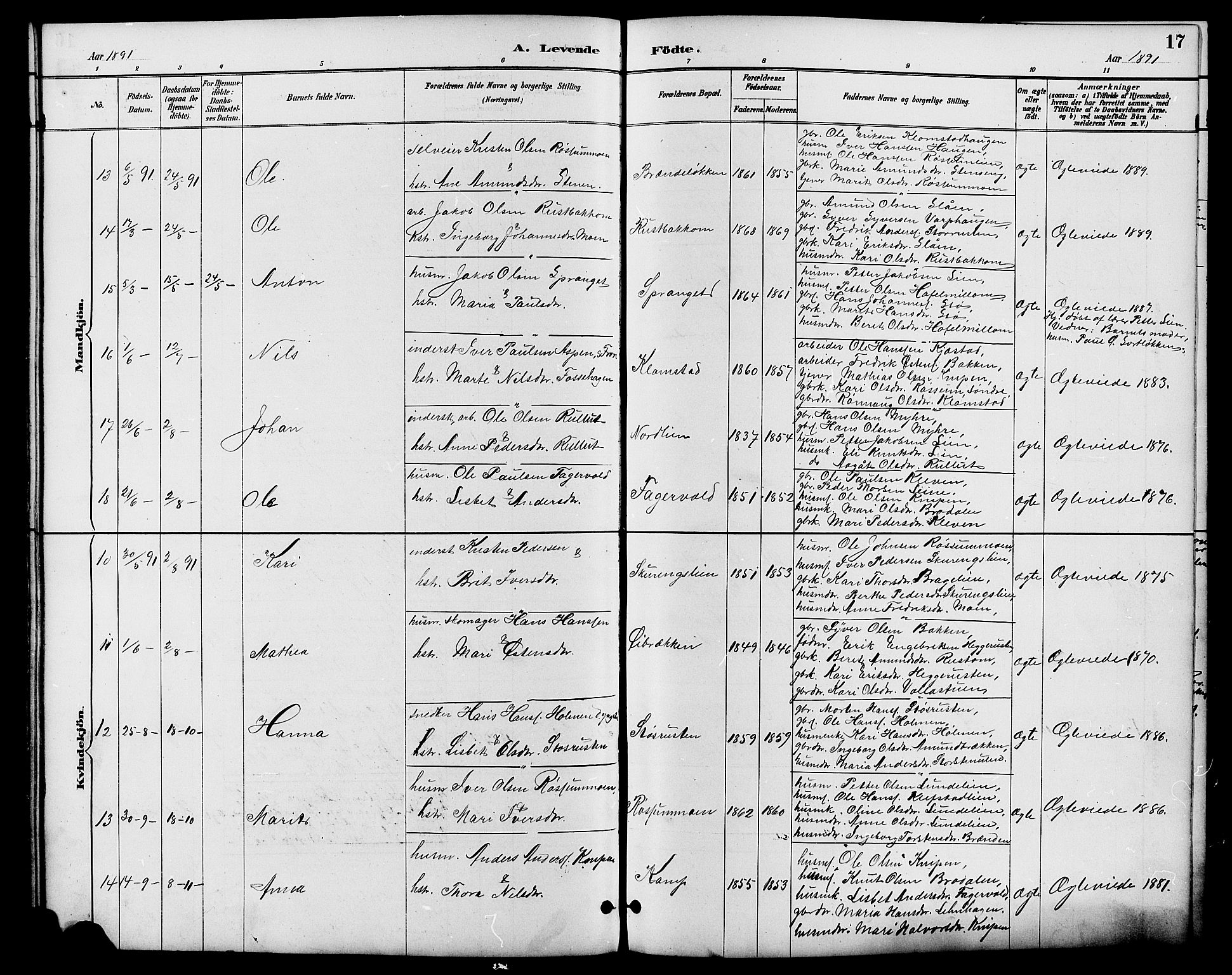 Nord-Fron prestekontor, AV/SAH-PREST-080/H/Ha/Hab/L0006: Parish register (copy) no. 6, 1887-1914, p. 17