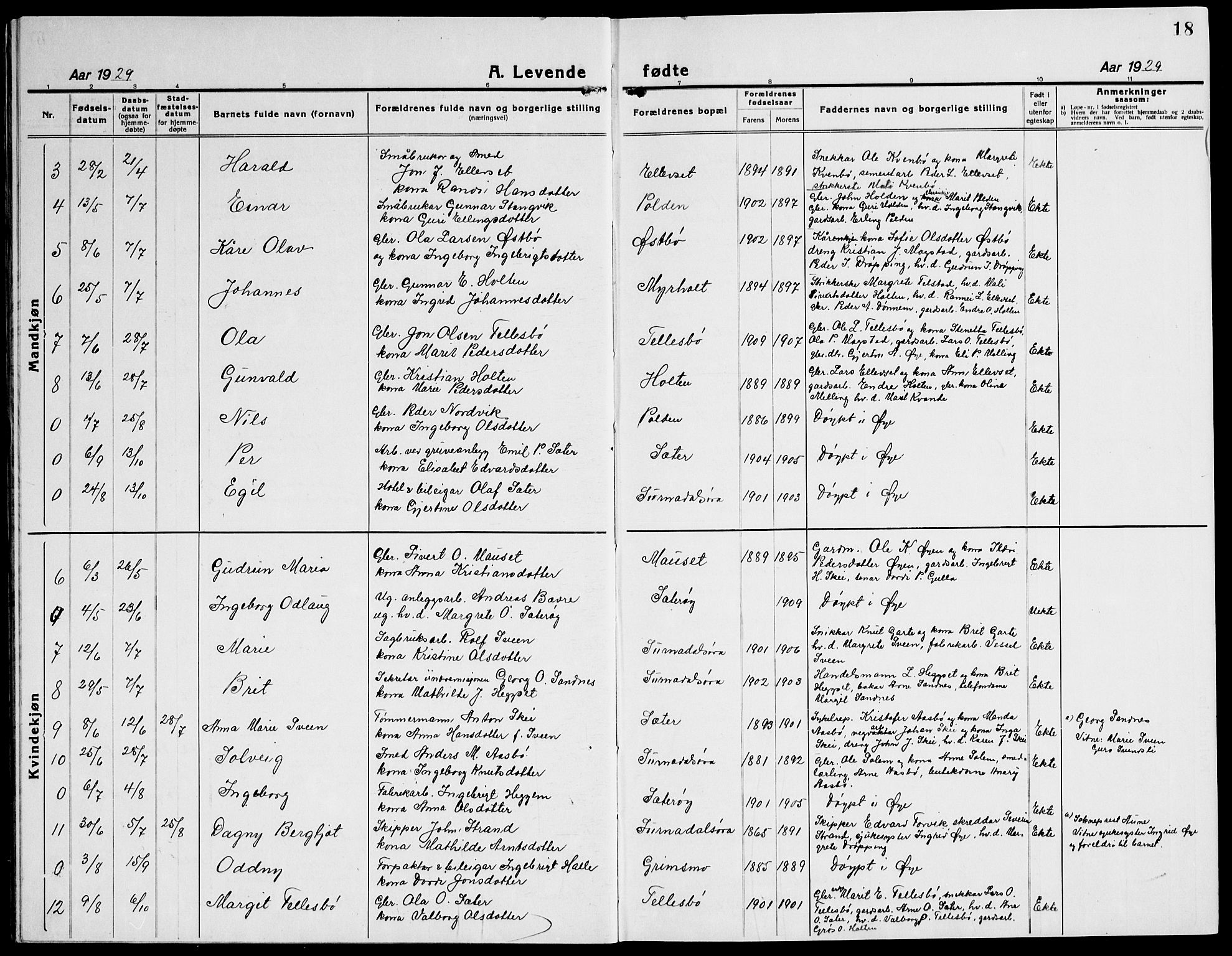 Ministerialprotokoller, klokkerbøker og fødselsregistre - Møre og Romsdal, AV/SAT-A-1454/596/L1060: Parish register (copy) no. 596C03, 1923-1944, p. 18