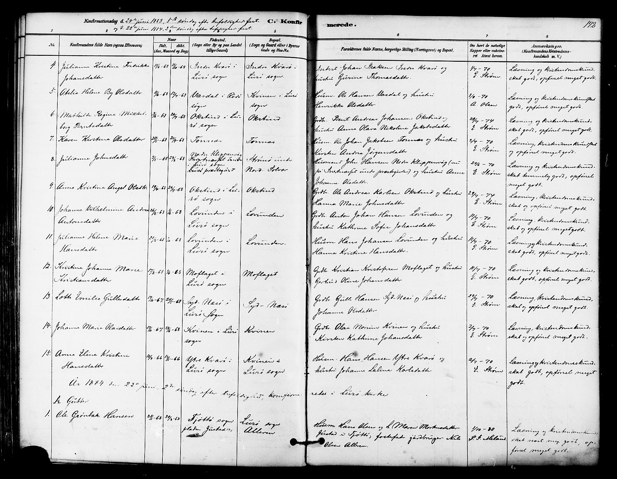 Ministerialprotokoller, klokkerbøker og fødselsregistre - Nordland, SAT/A-1459/839/L0568: Parish register (official) no. 839A05, 1880-1902, p. 172
