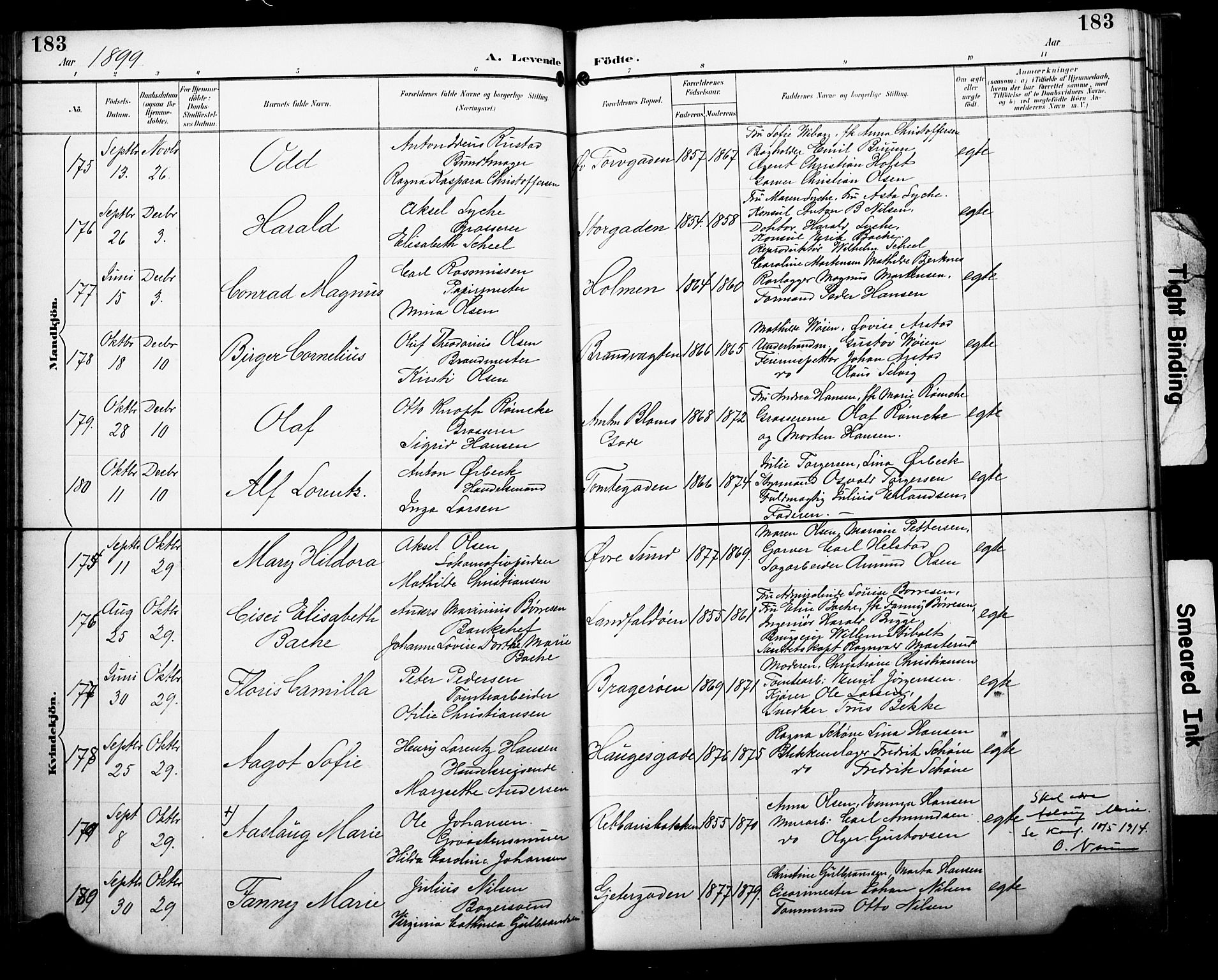 Bragernes kirkebøker, SAKO/A-6/F/Fb/L0008: Parish register (official) no. II 8, 1894-1902, p. 183