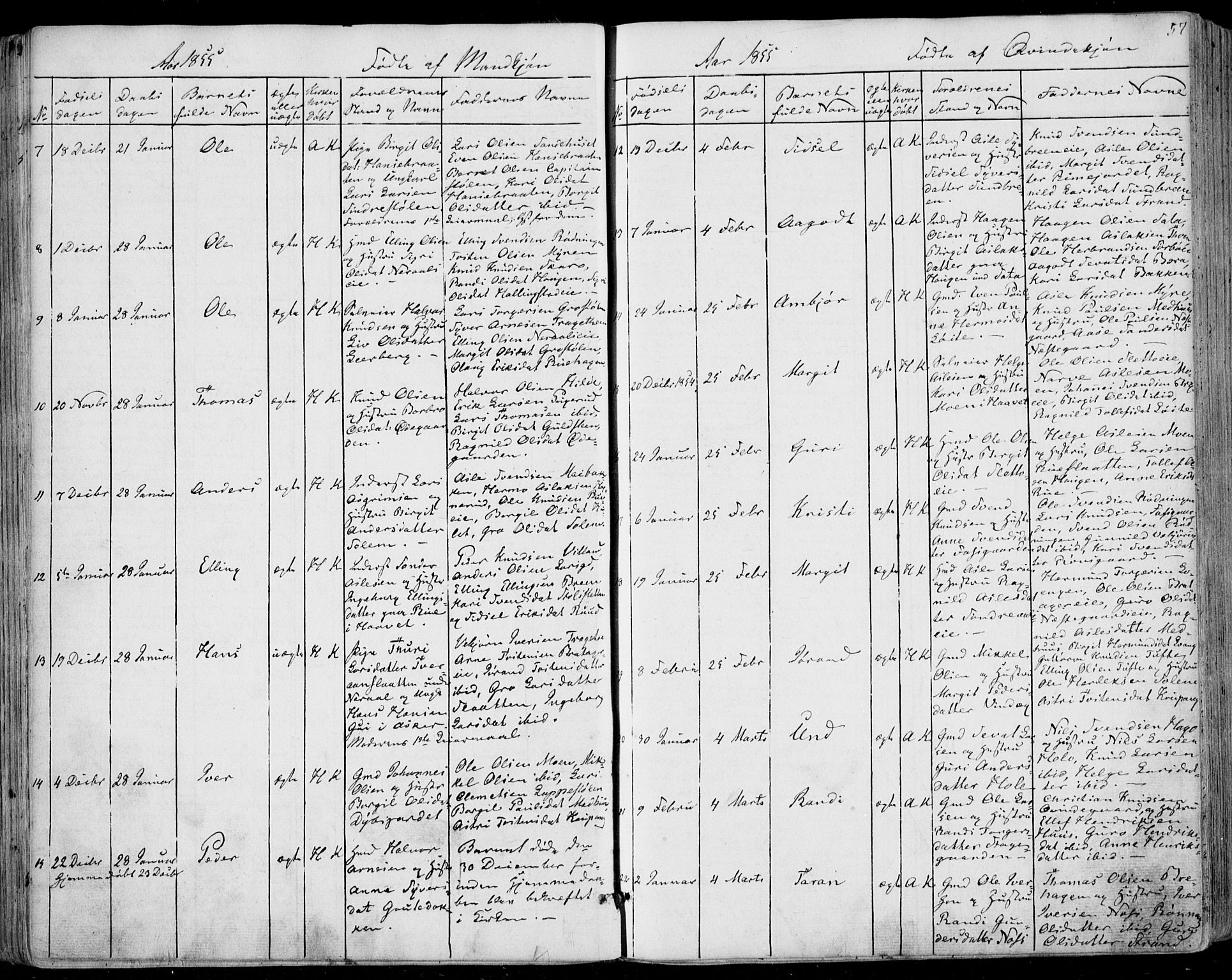 Ål kirkebøker, AV/SAKO-A-249/F/Fa/L0006: Parish register (official) no. I 6, 1849-1864, p. 57