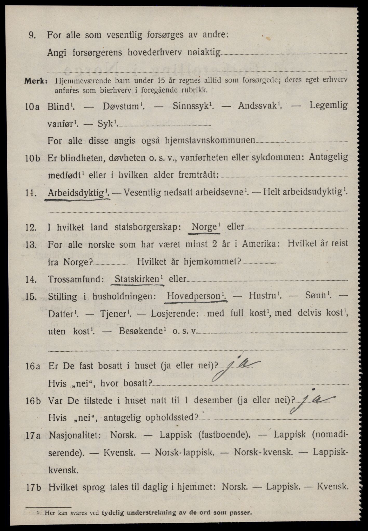 SAT, 1920 census for Heim, 1920, p. 1894