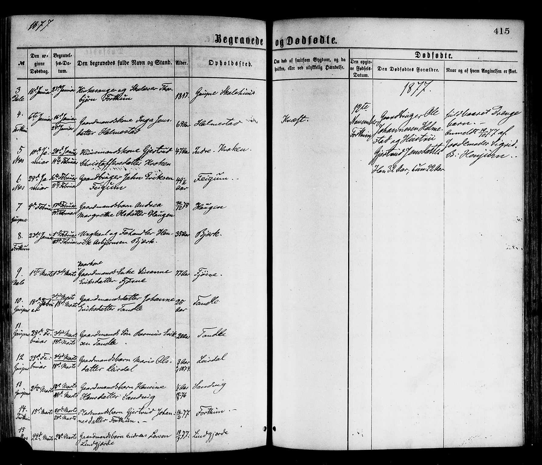 Luster sokneprestembete, AV/SAB-A-81101/H/Haa/Haaa/L0010: Parish register (official) no. A 10, 1871-1886, p. 415