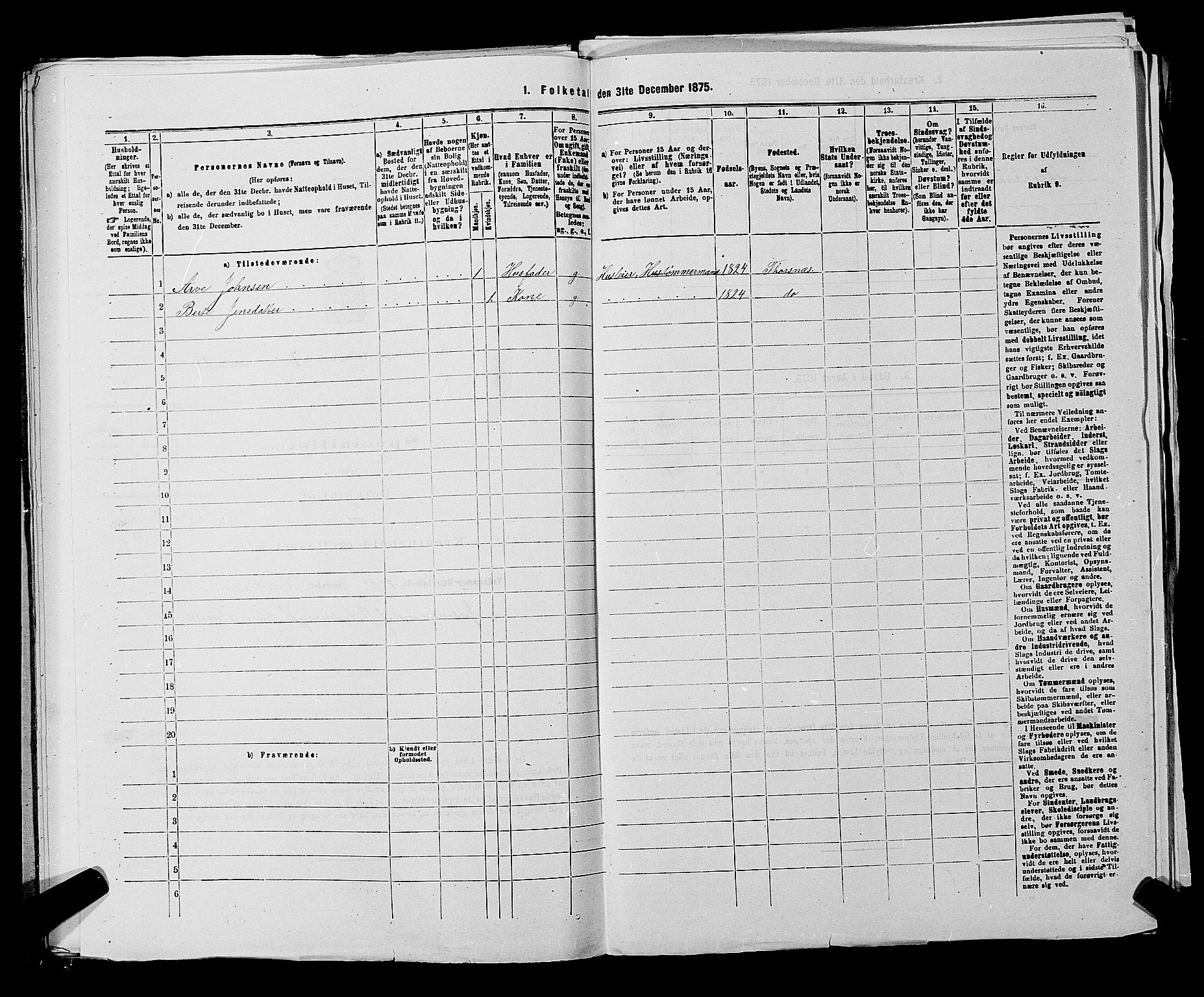 RA, 1875 census for 0113P Borge, 1875, p. 991